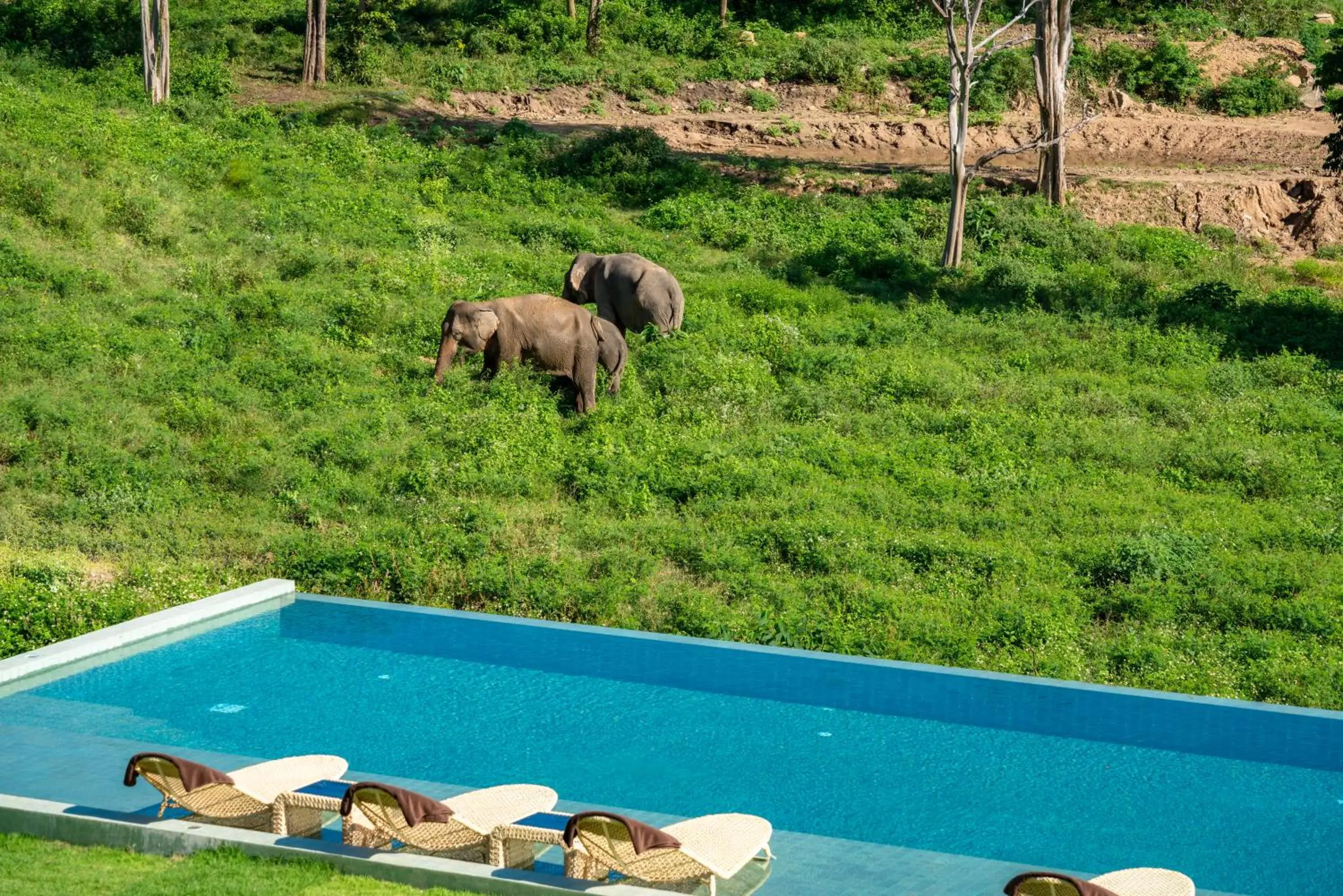 Wild Cottages Elephant Sanctuary Resort Wild Cottages Elephant Sanctuary Resort