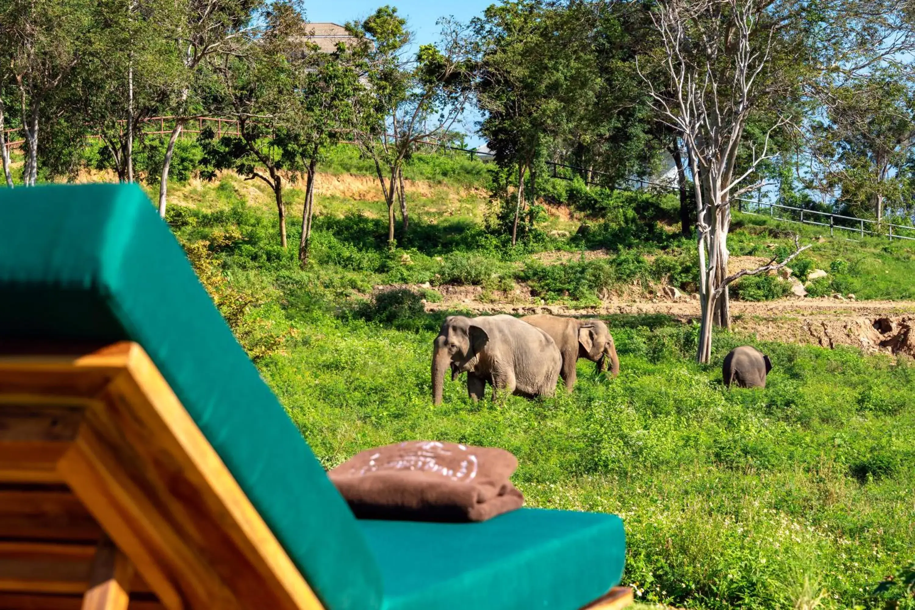 Wild Cottages Elephant Sanctuary Resort Wild Cottages Elephant Sanctuary Resort