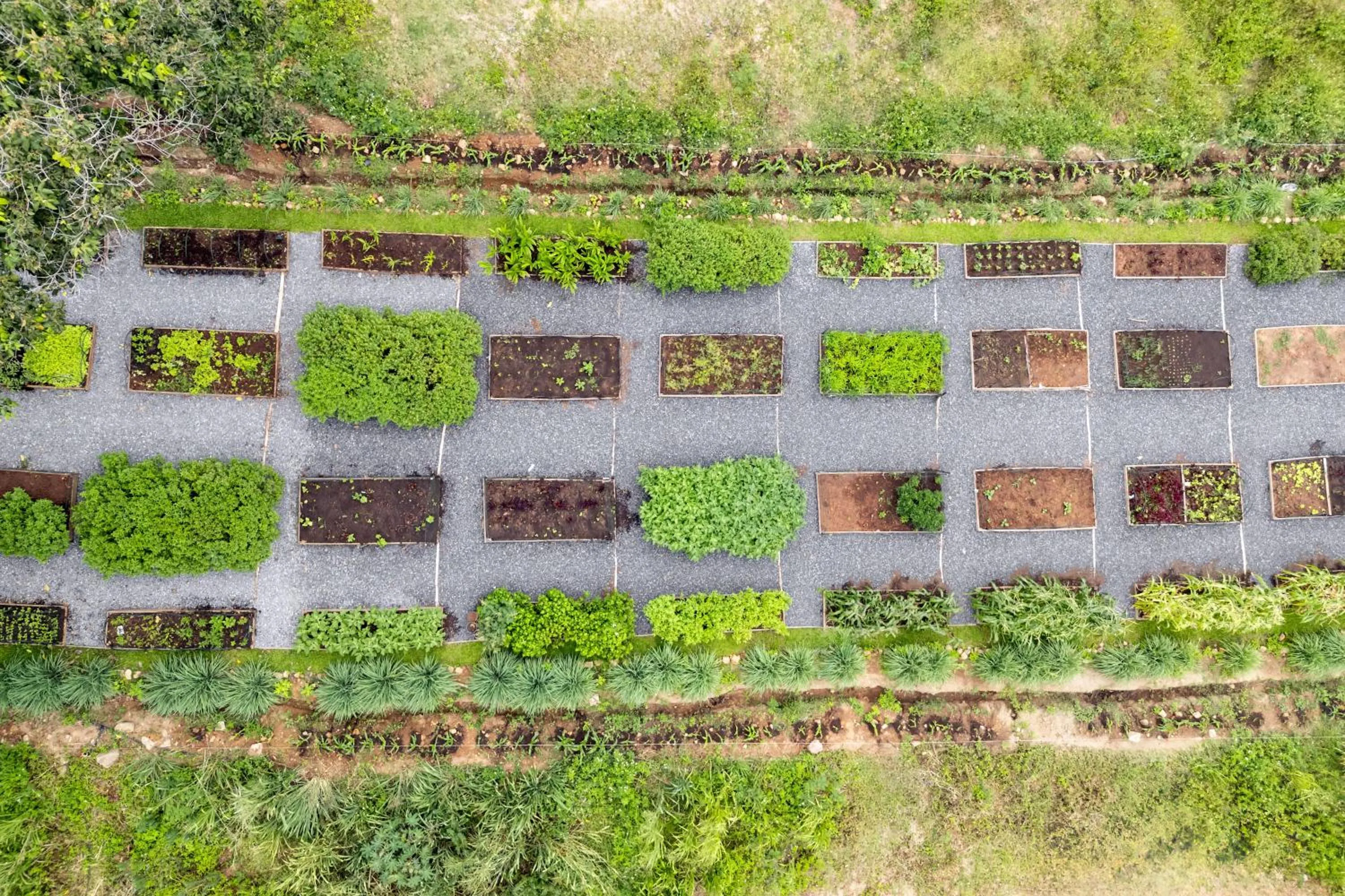 Wild Cottages Elephant Sanctuary Resort