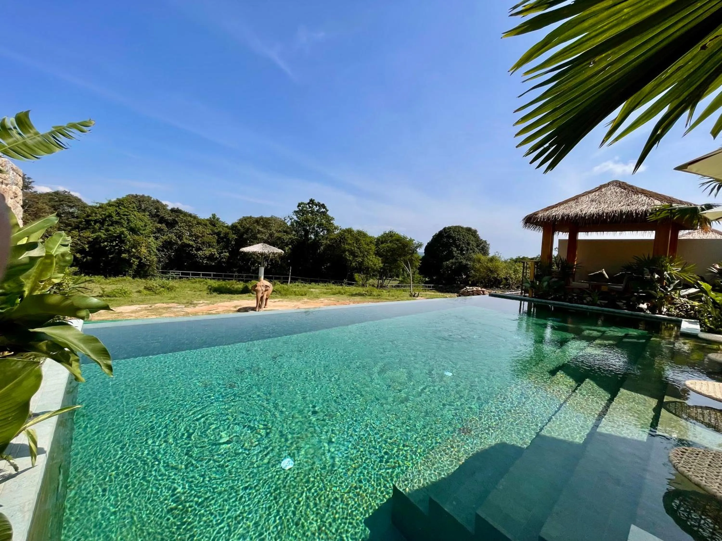 Wild Cottages Elephant Sanctuary Resort