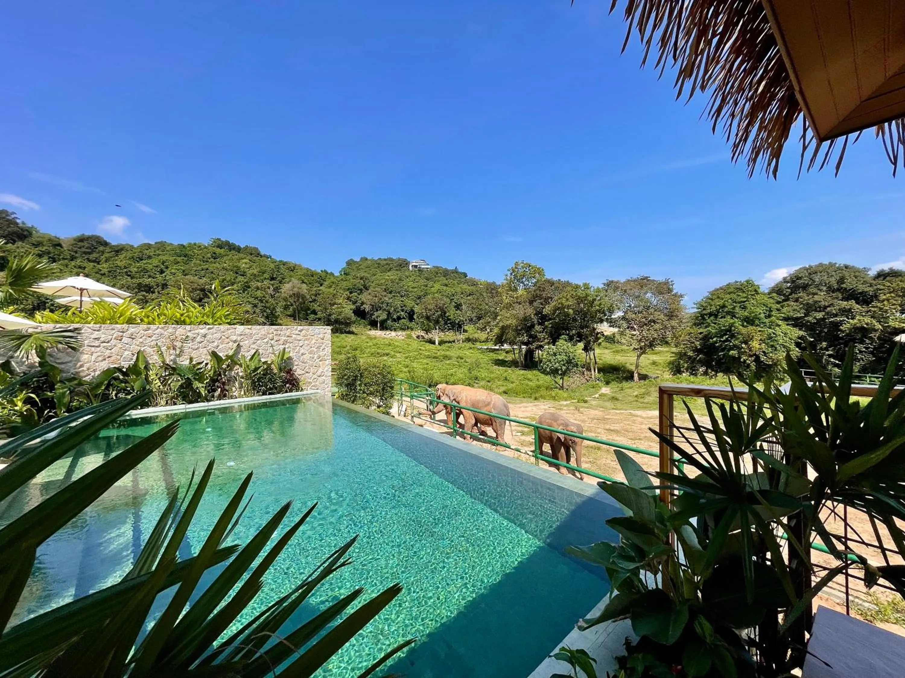 Wild Cottages Elephant Sanctuary Resort