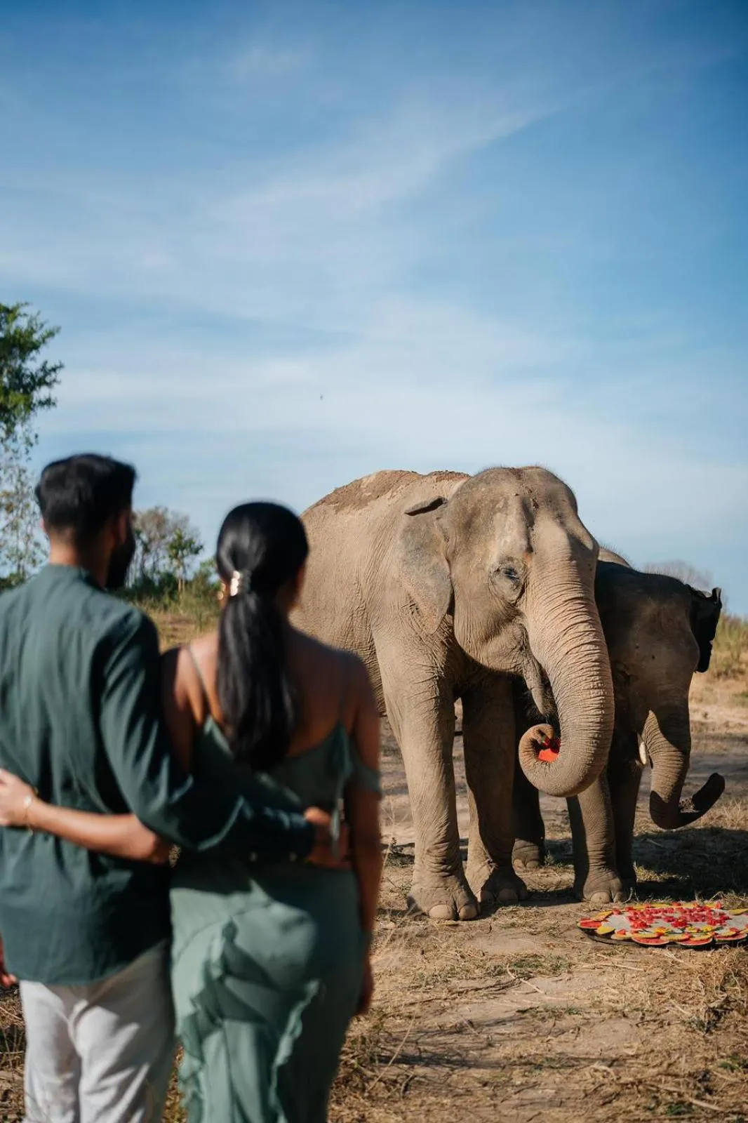 Wild Cottages Elephant Sanctuary Resort