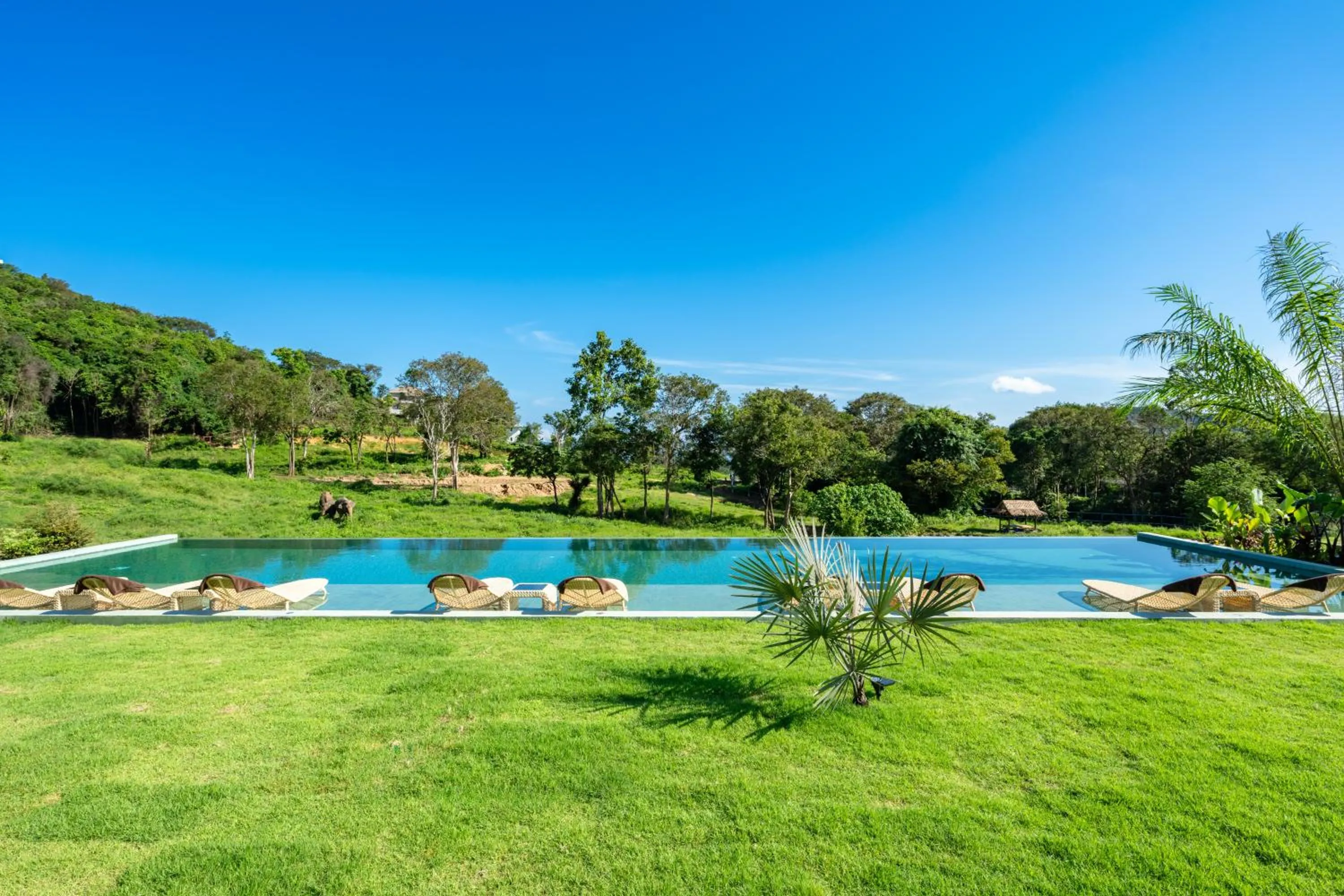 Wild Cottages Elephant Sanctuary Resort