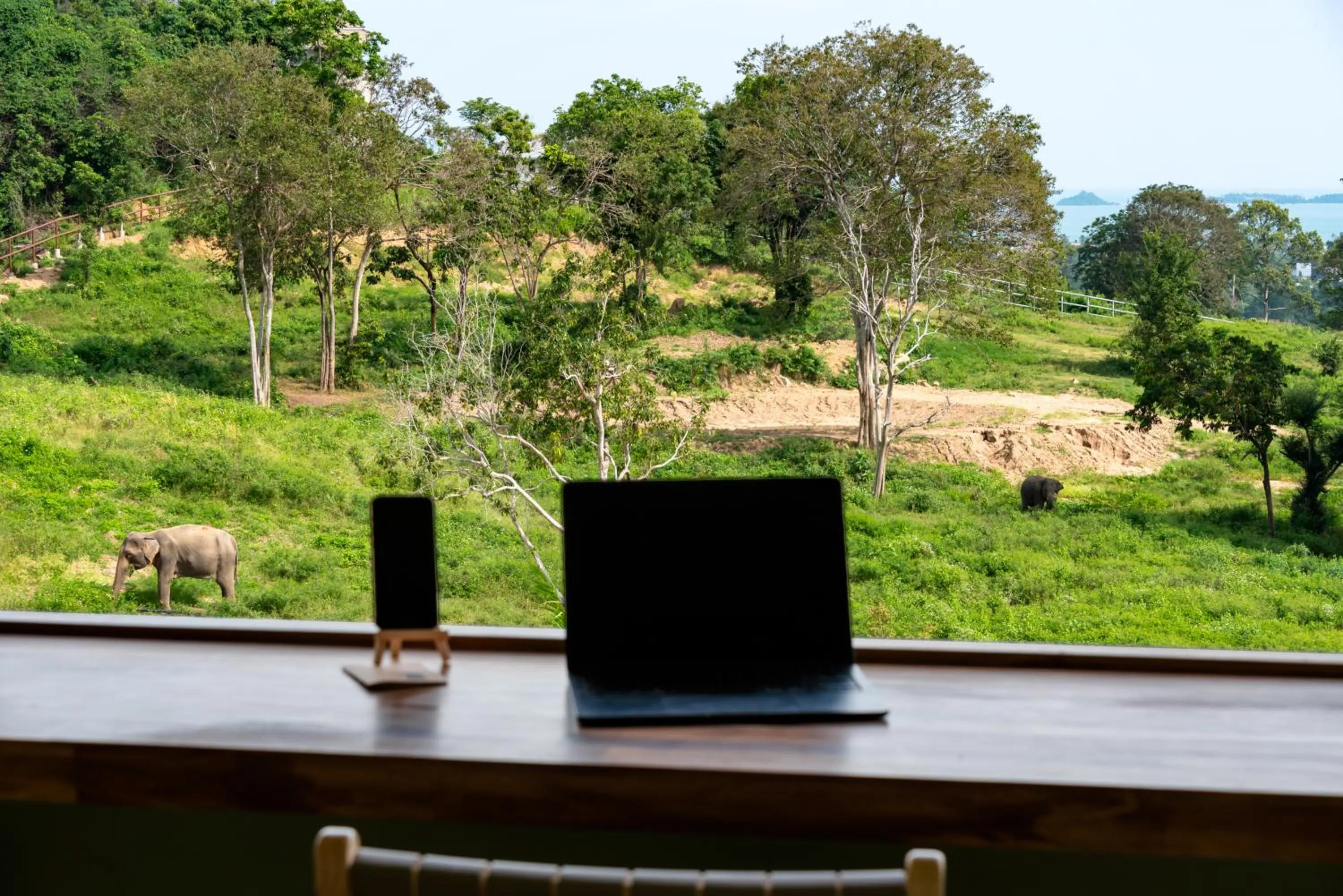 Wild Cottages Elephant Sanctuary Resort