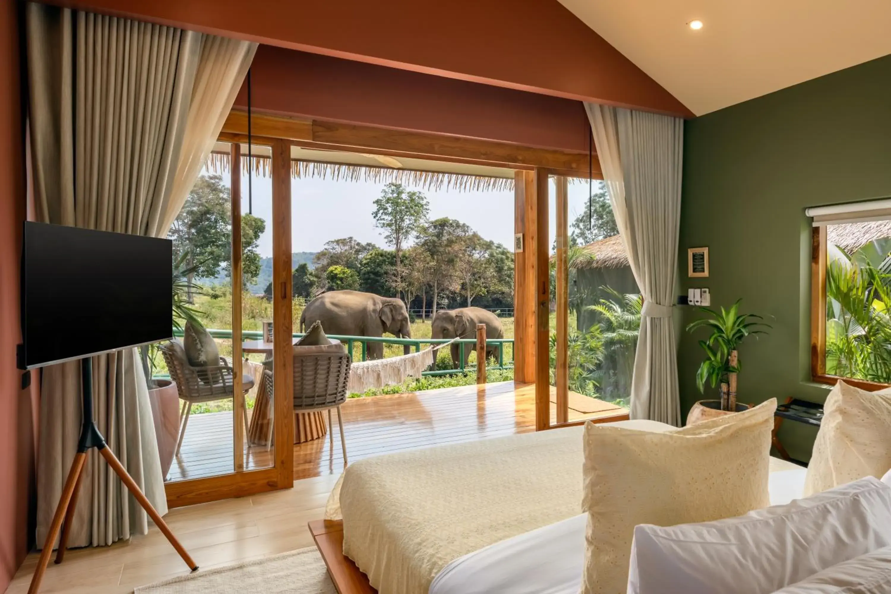 Executive Suite in Wild Cottages Elephant Sanctuary Resort Executive Suite in Wild Cottages Elephant Sanctuary Resort