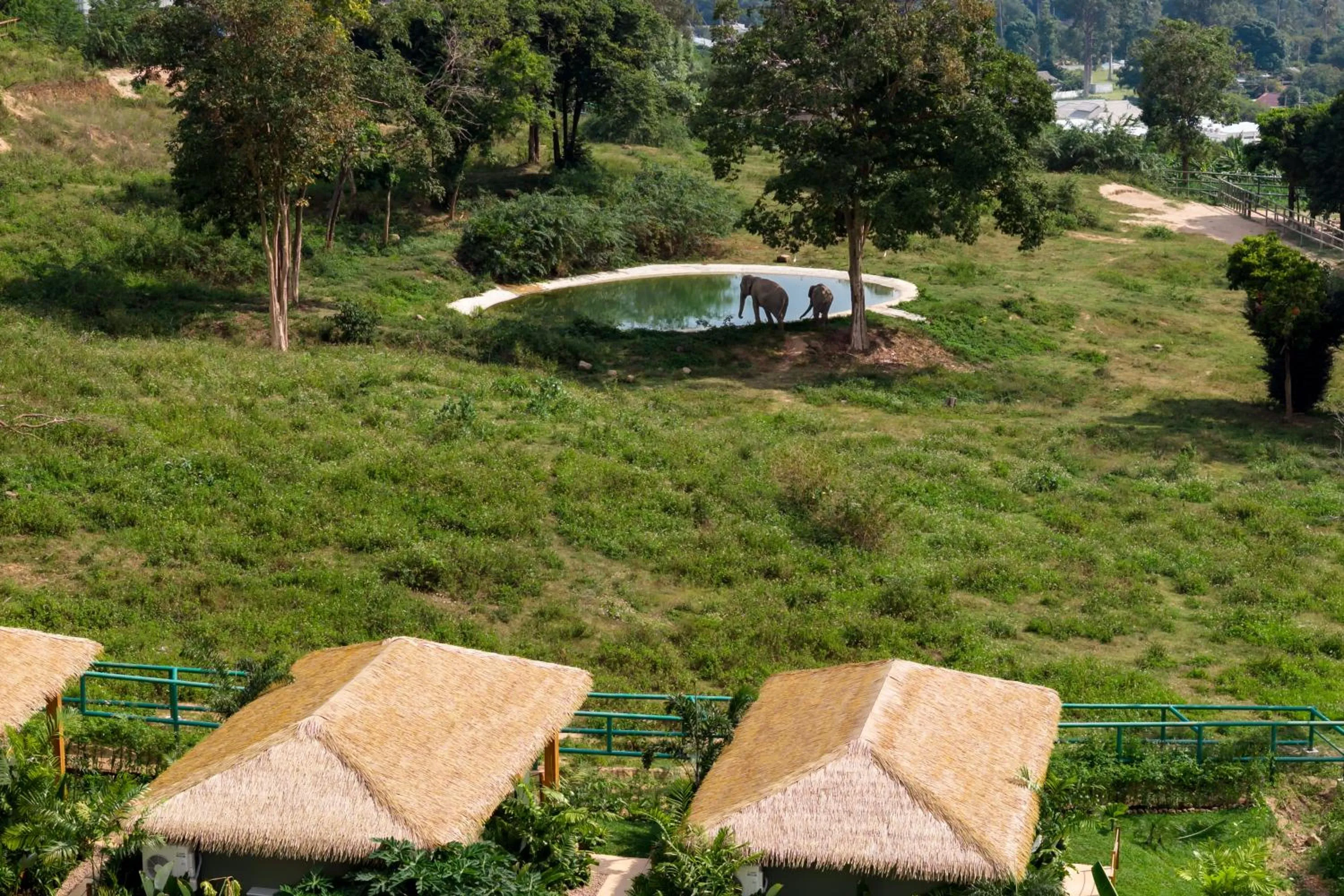 Wild Cottages Elephant Sanctuary Resort