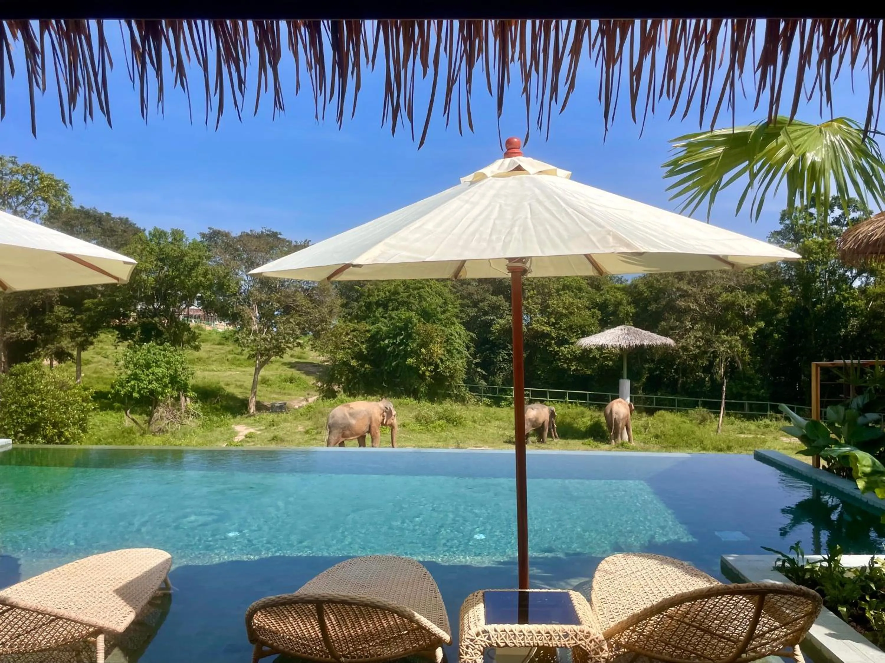 Wild Cottages Elephant Sanctuary Resort