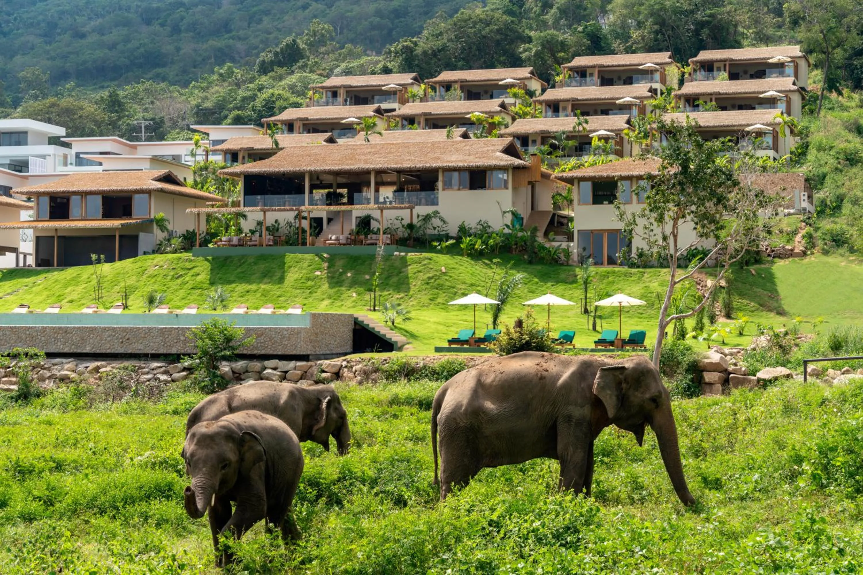 Wild Cottages Elephant Sanctuary Resort