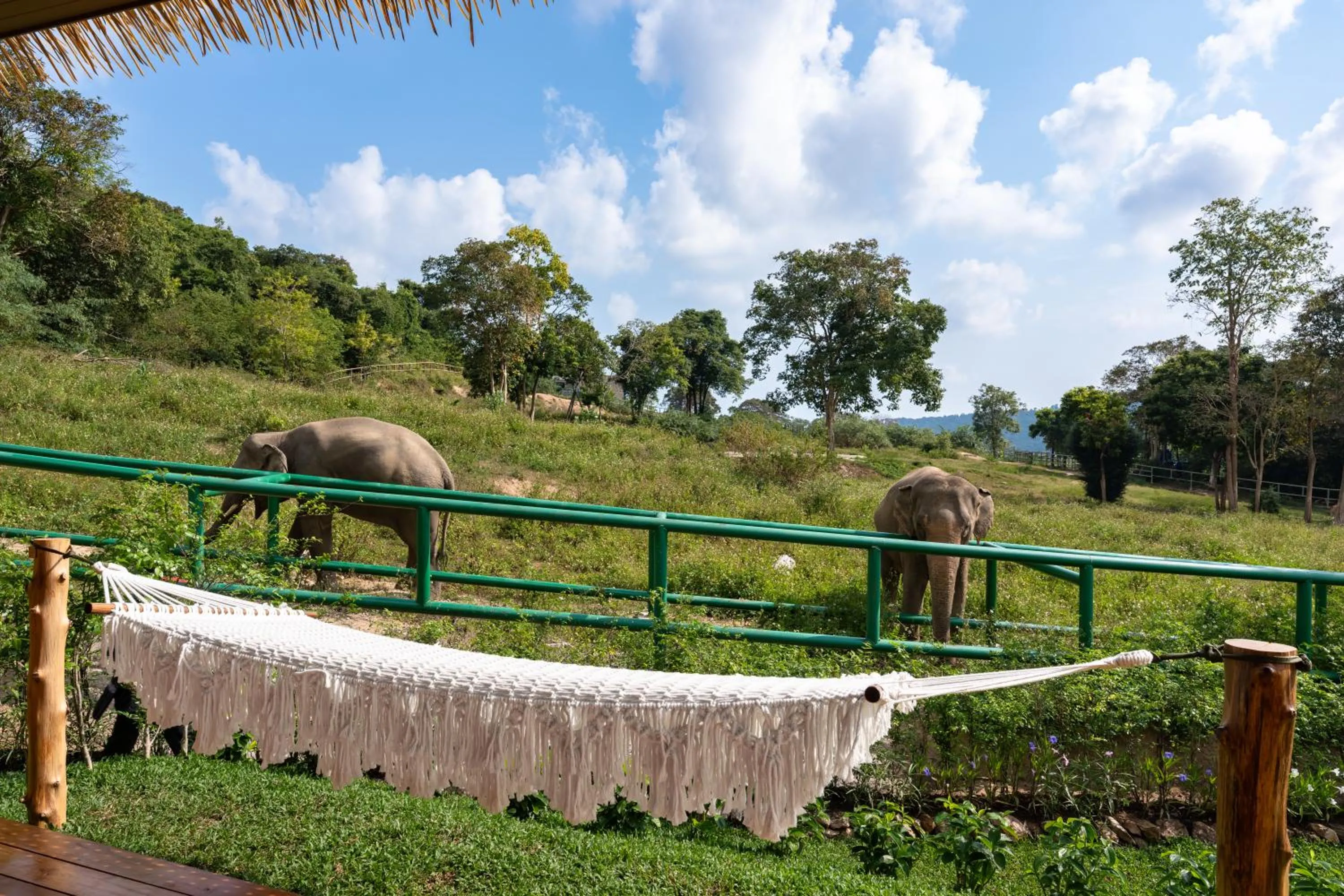 Wild Cottages Elephant Sanctuary Resort