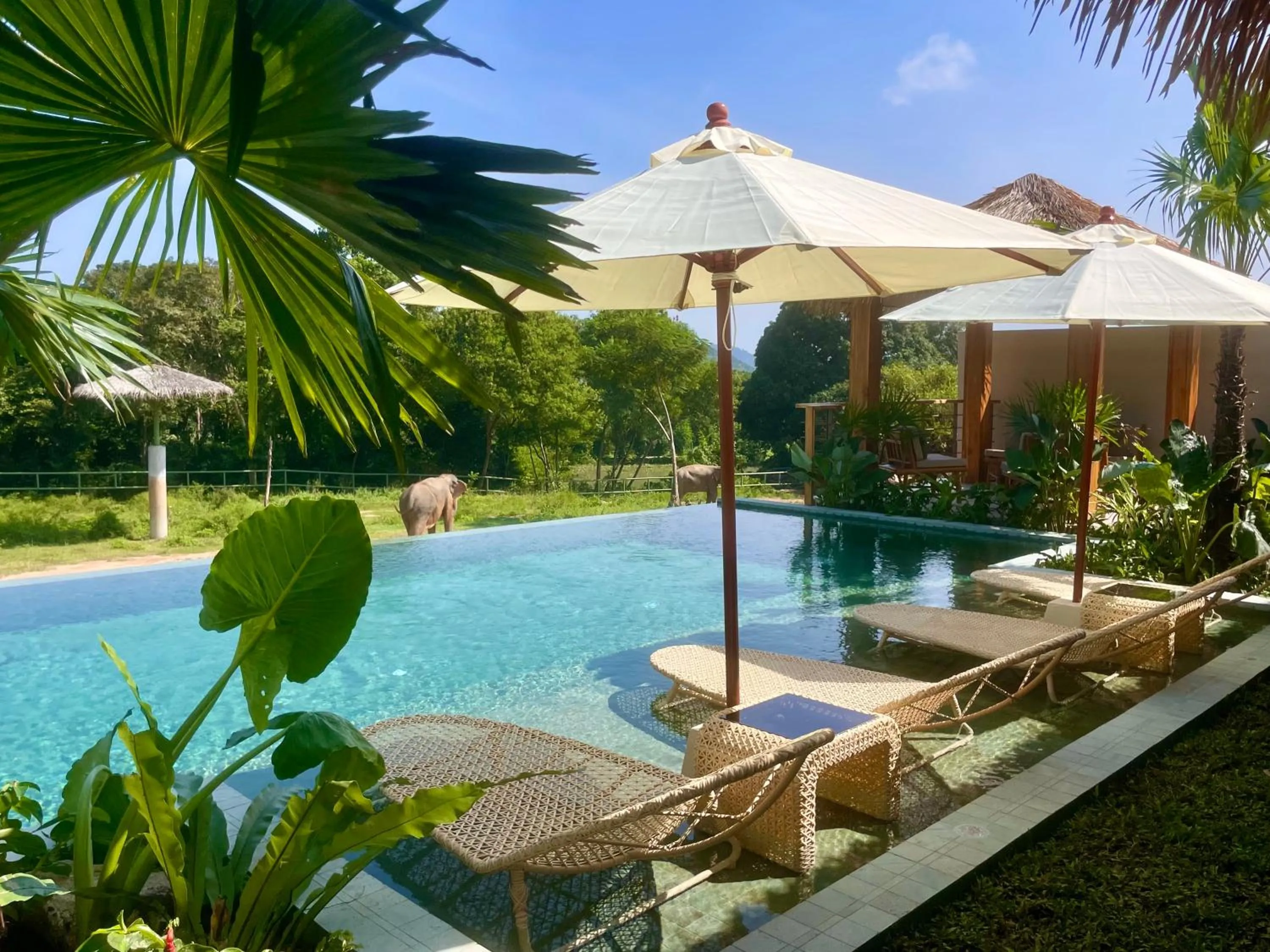 Wild Cottages Elephant Sanctuary Resort