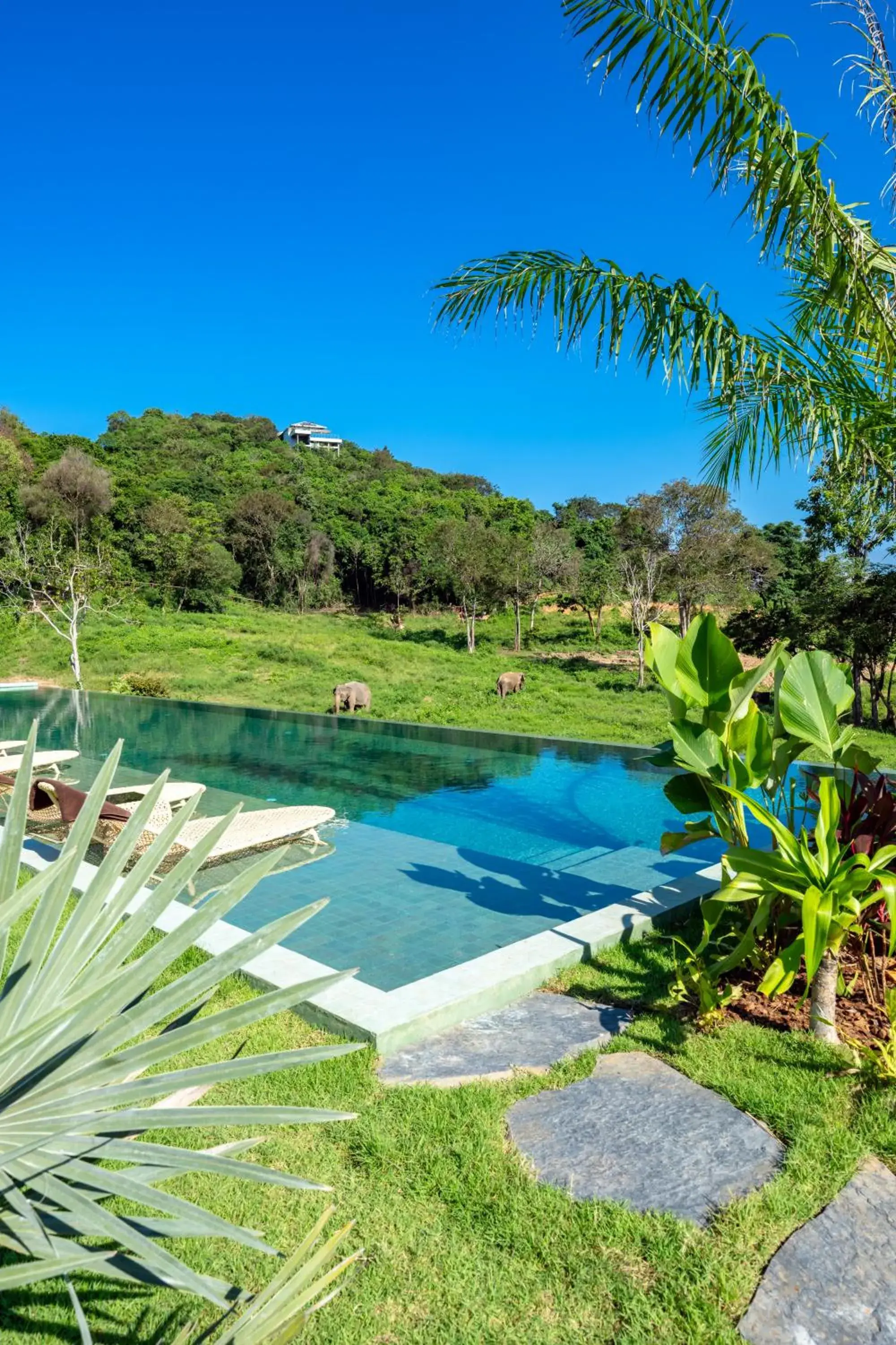 Wild Cottages Elephant Sanctuary Resort Wild Cottages Elephant Sanctuary Resort