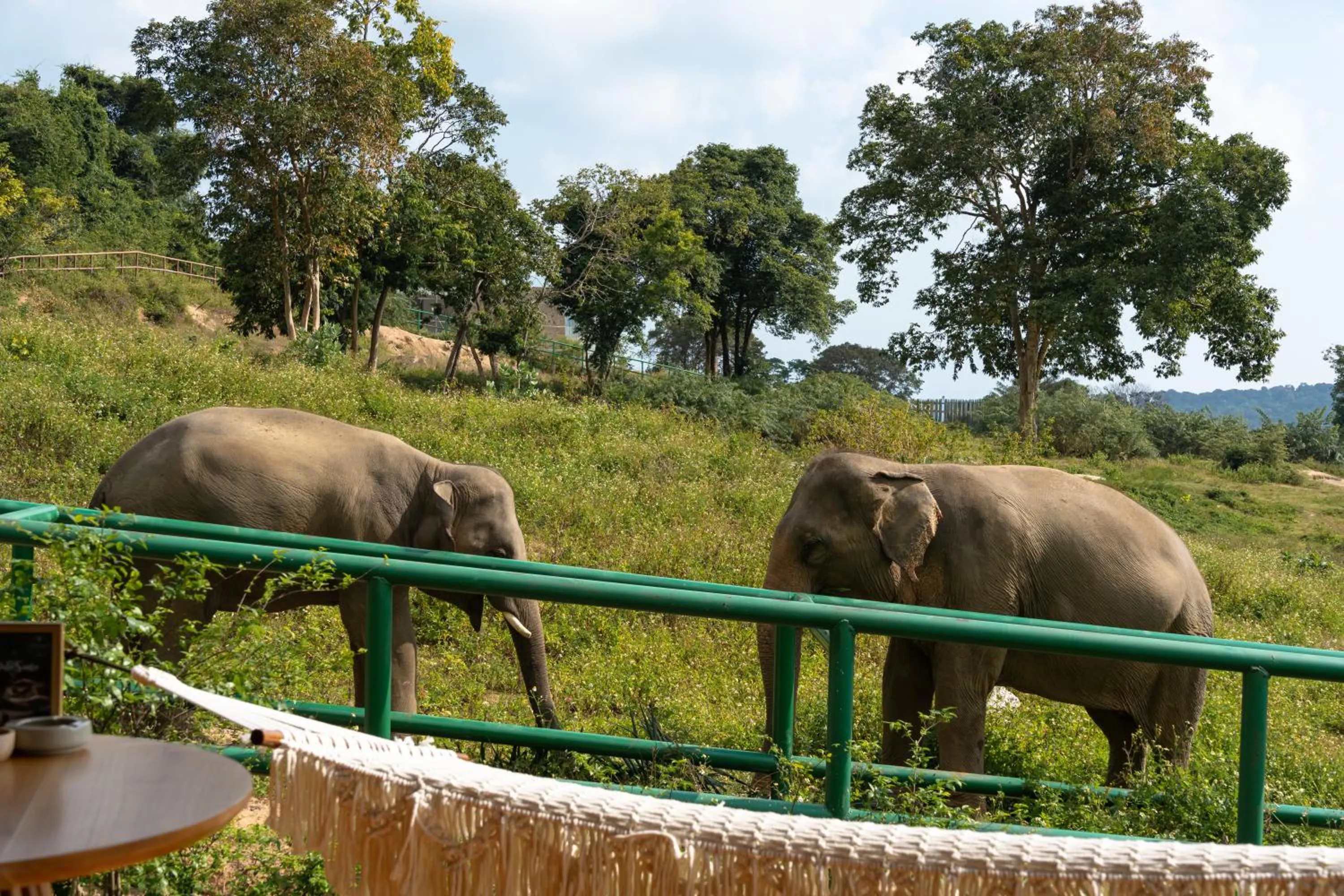 Wild Cottages Elephant Sanctuary Resort