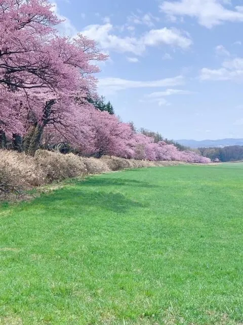 Spring in The LODGE ABASHIRI