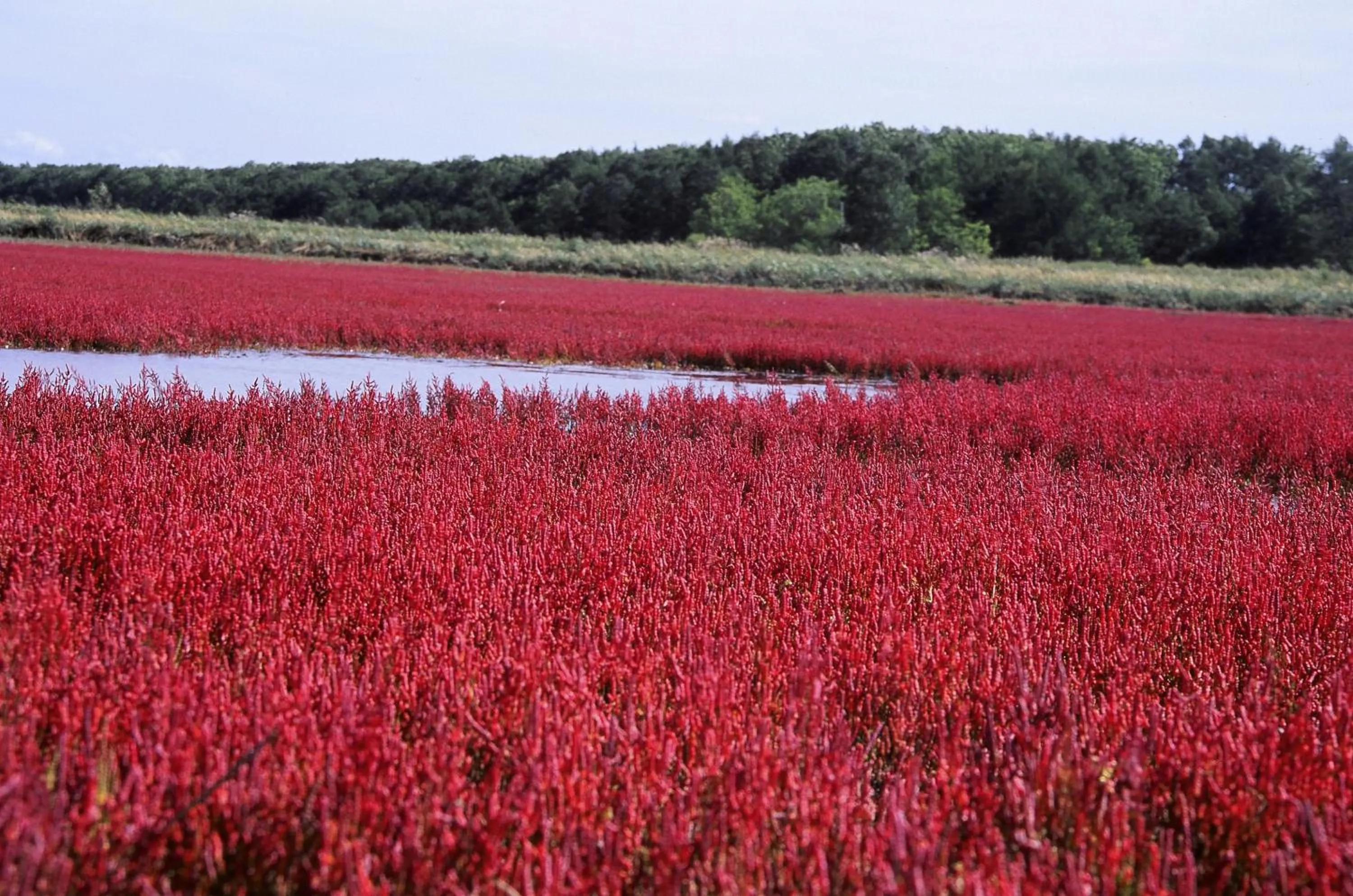 Natural landscape in The LODGE ABASHIRI