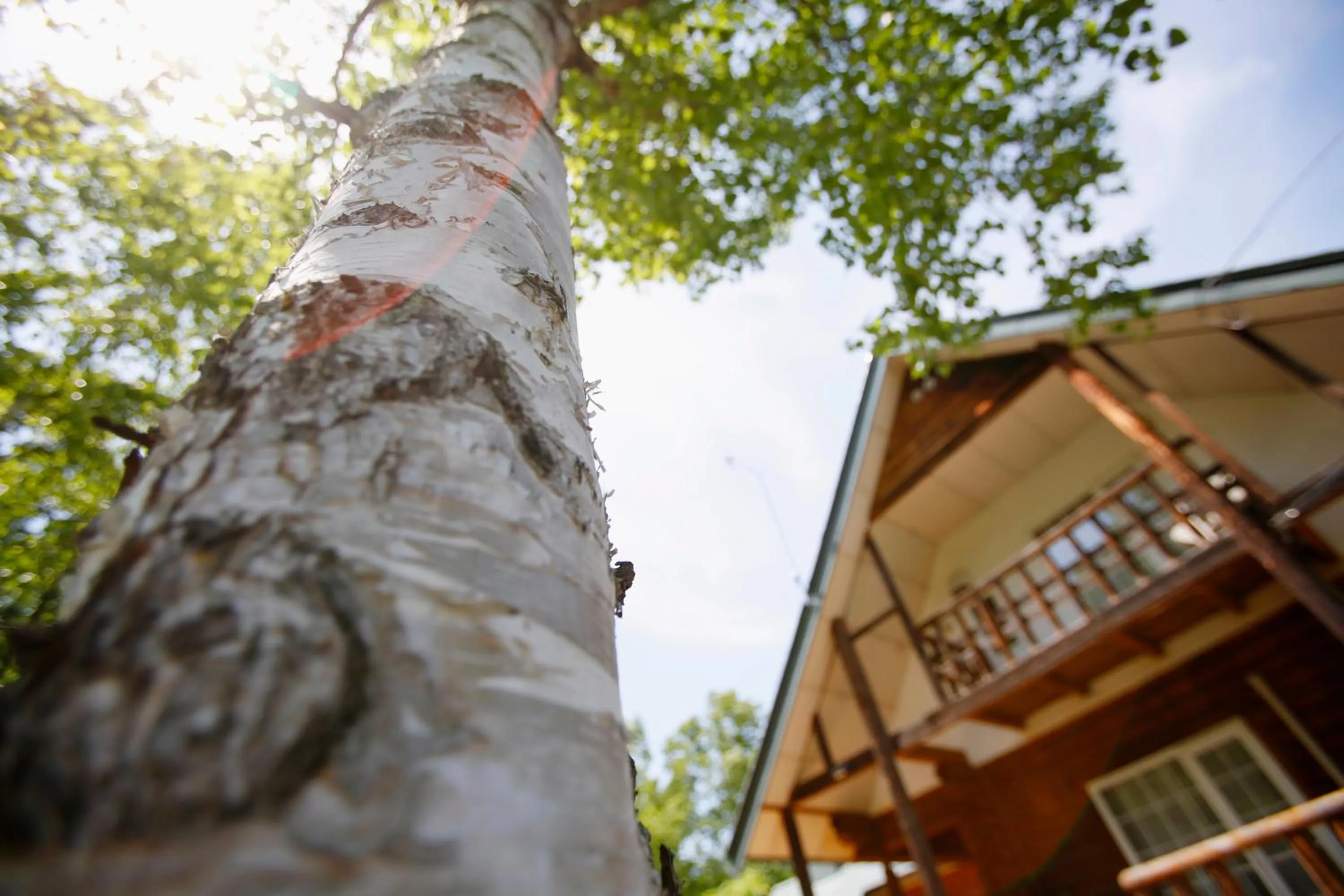 Property building in The LODGE ABASHIRI