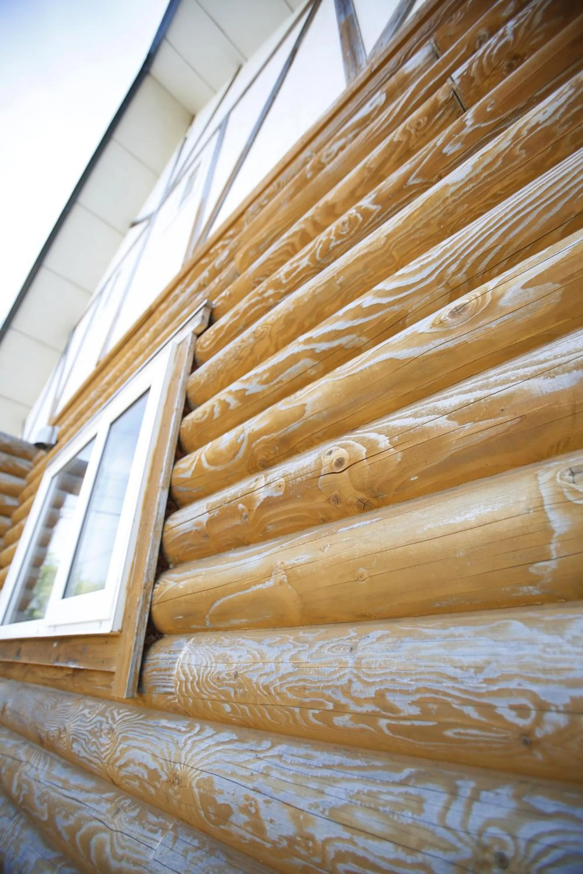 Property building in The LODGE ABASHIRI