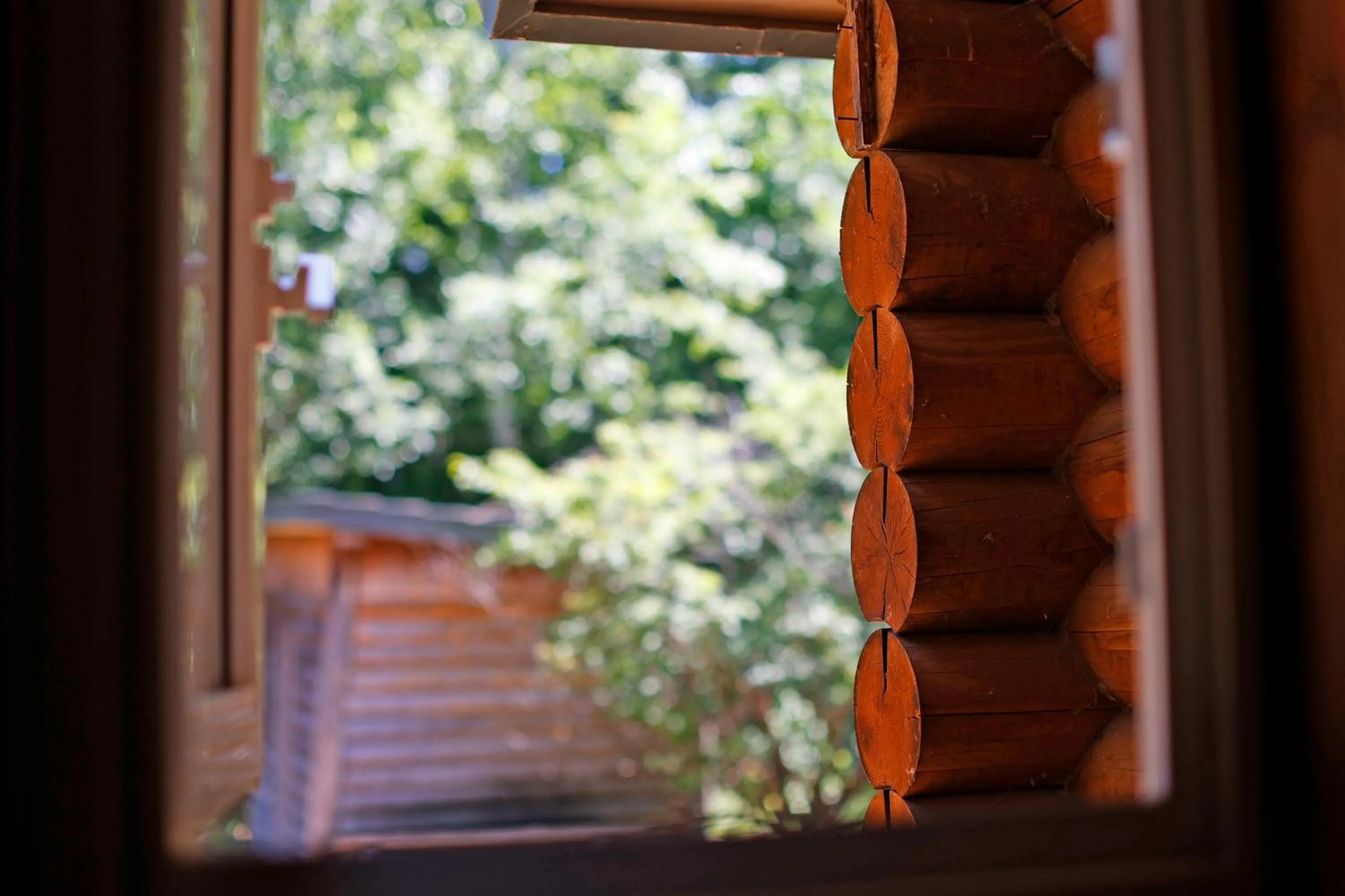 Day in The LODGE ABASHIRI