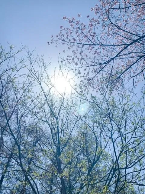 Spring in The LODGE ABASHIRI