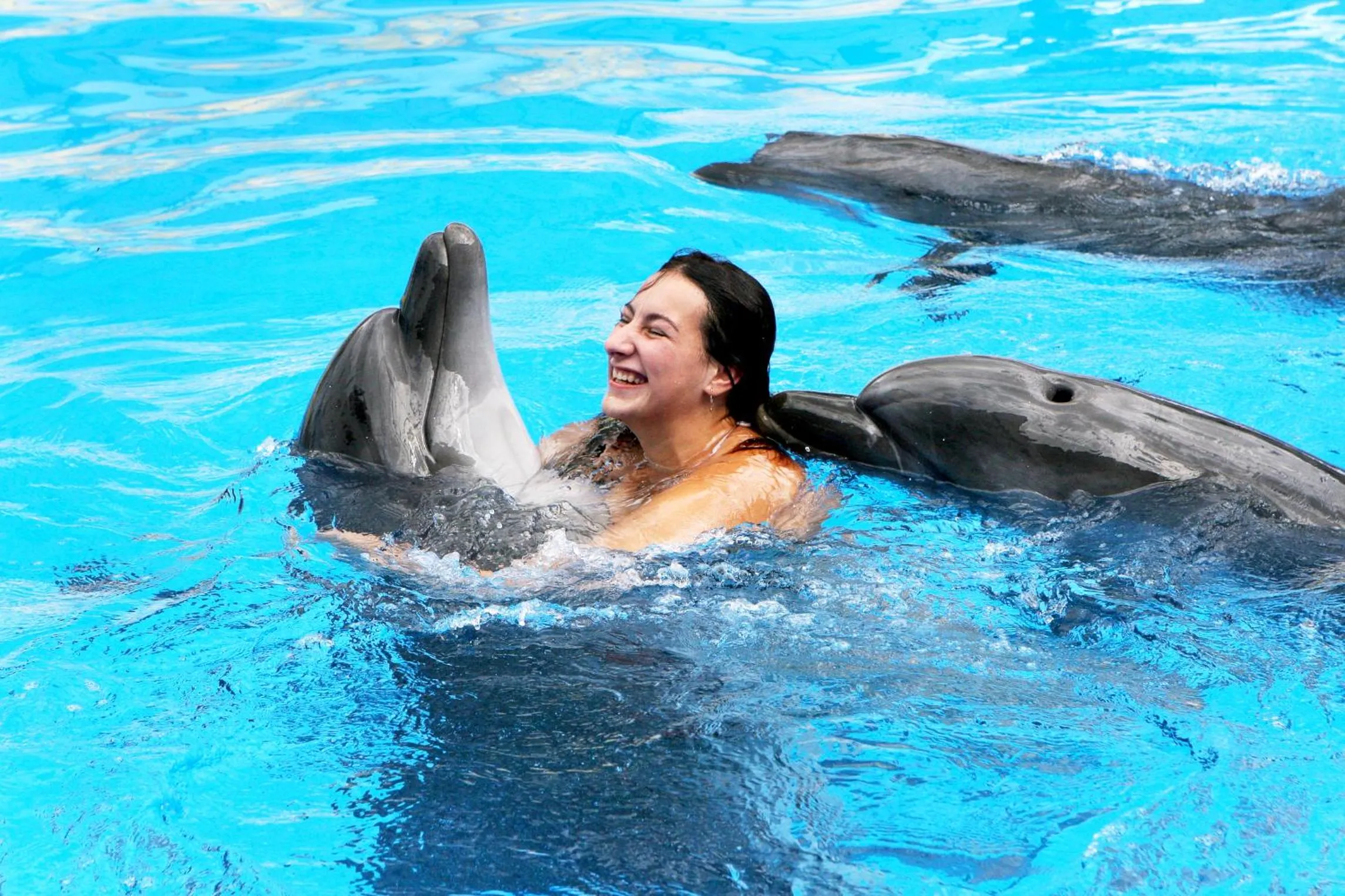 Decorative detail in Custo Club