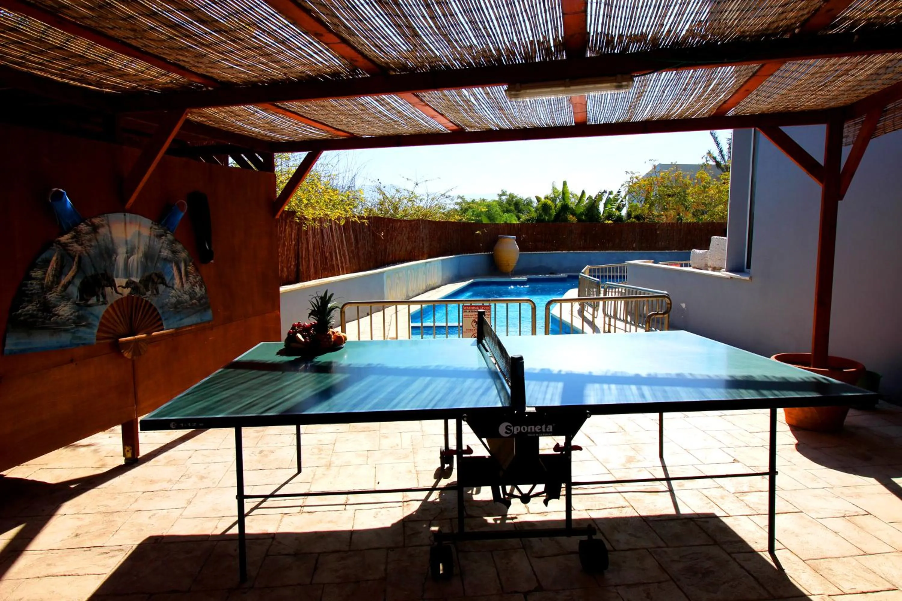 Table tennis in Custo Club