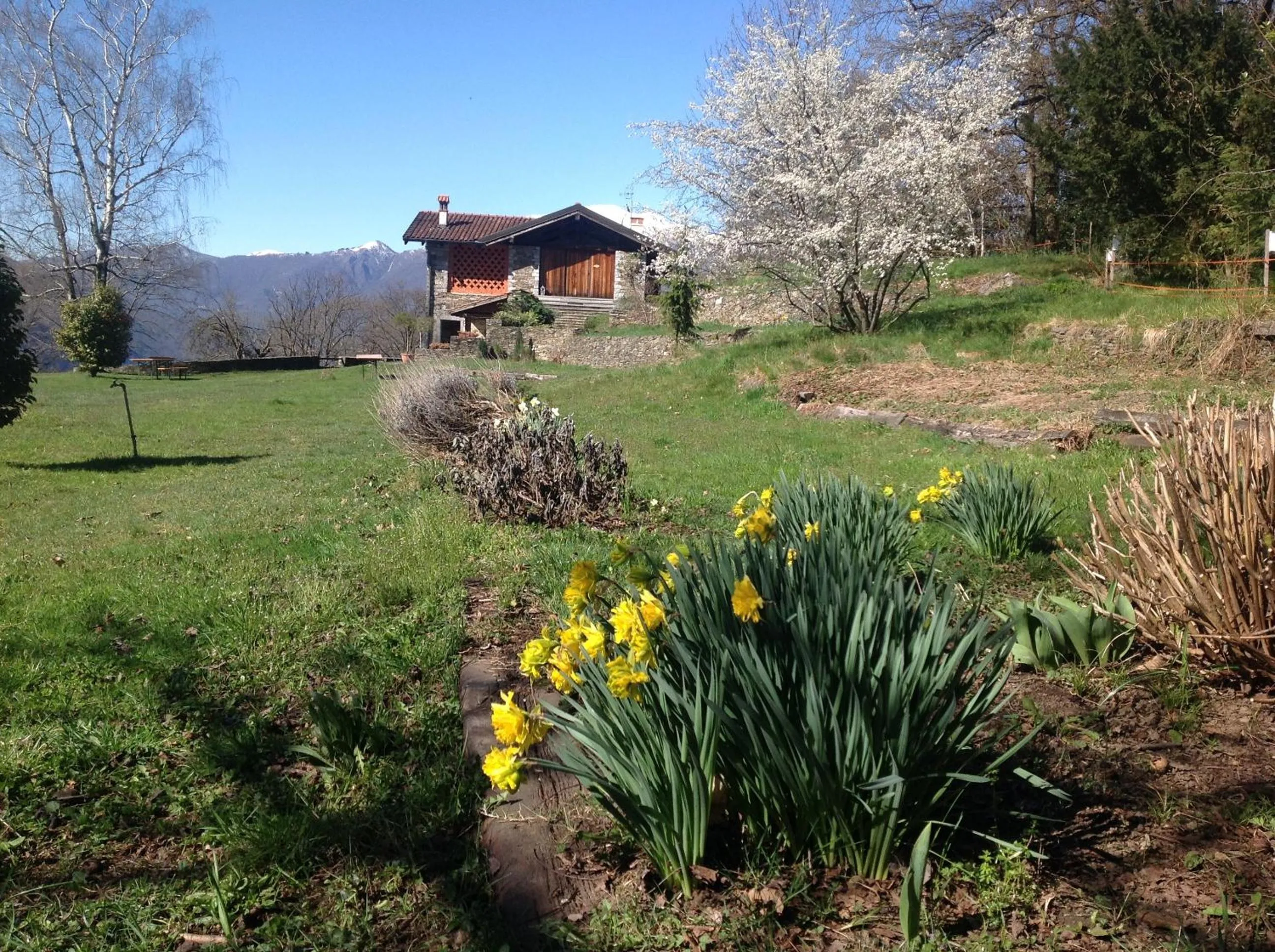 Natural landscape in Il Ciliegio Selvatico