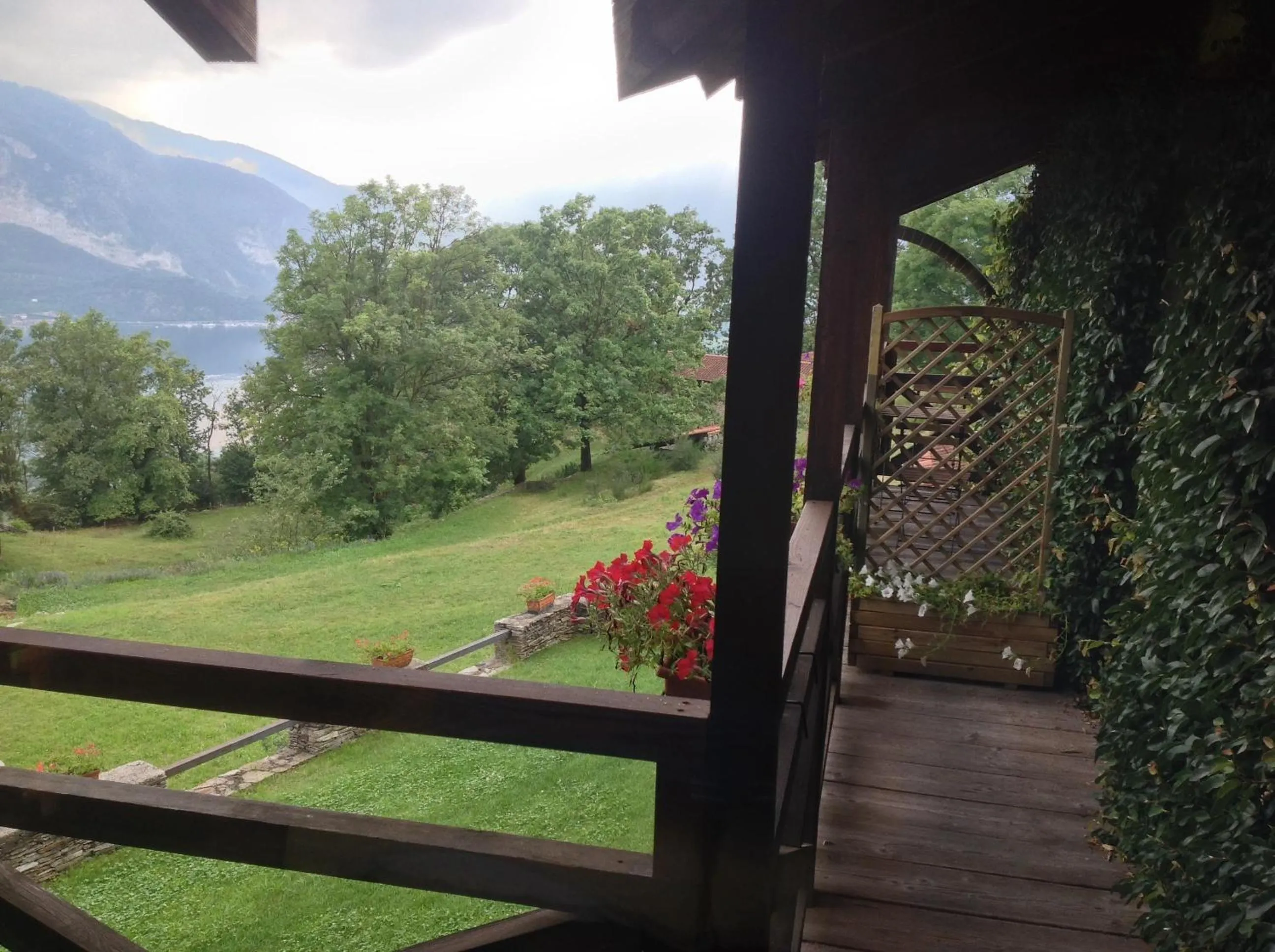 Garden view in Il Ciliegio Selvatico