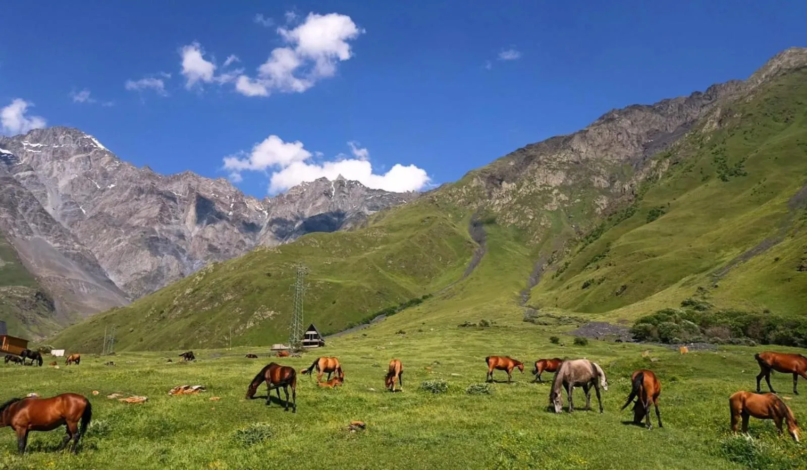 Day in Mountain flower cottage