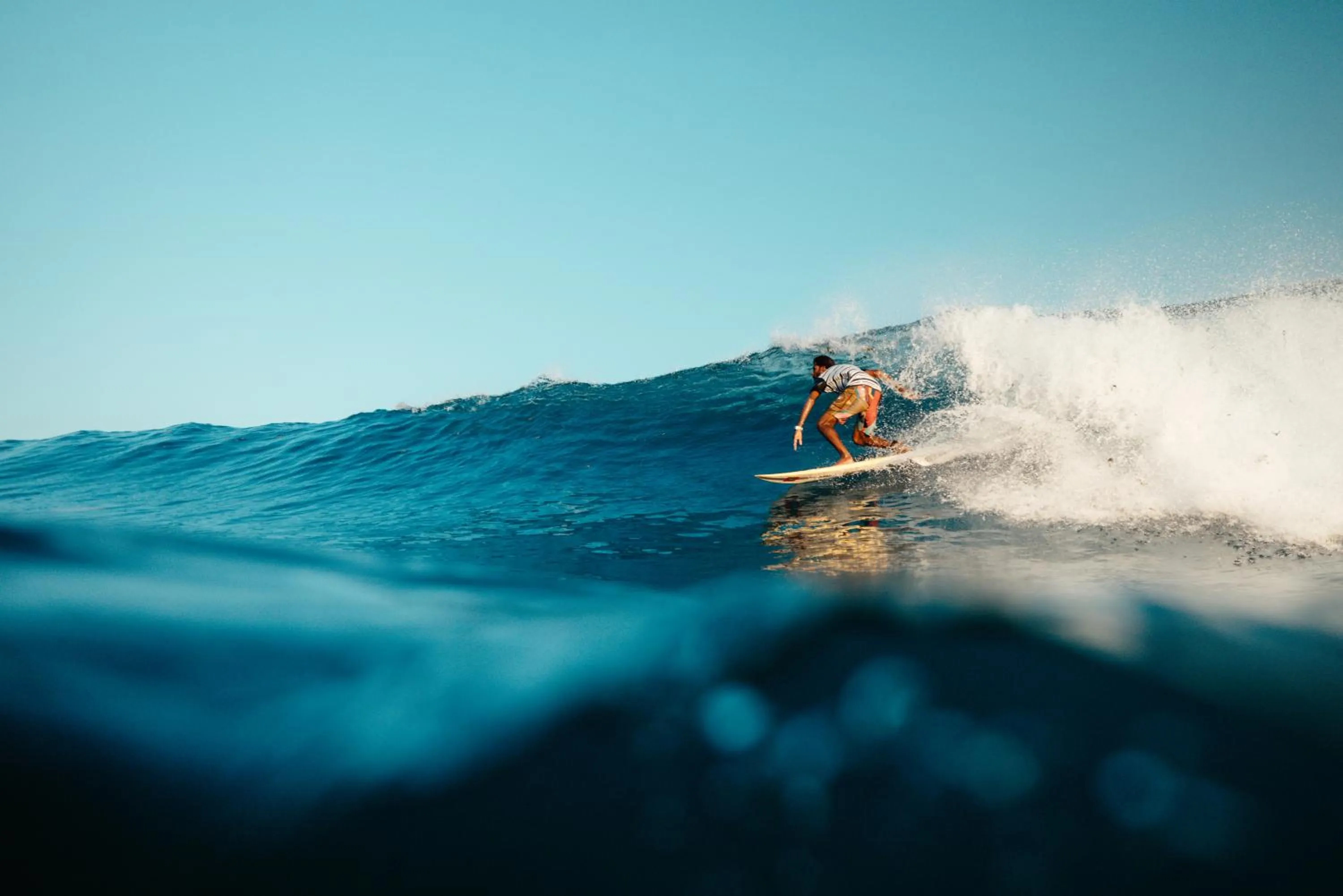Natural landscape in The Zen Den