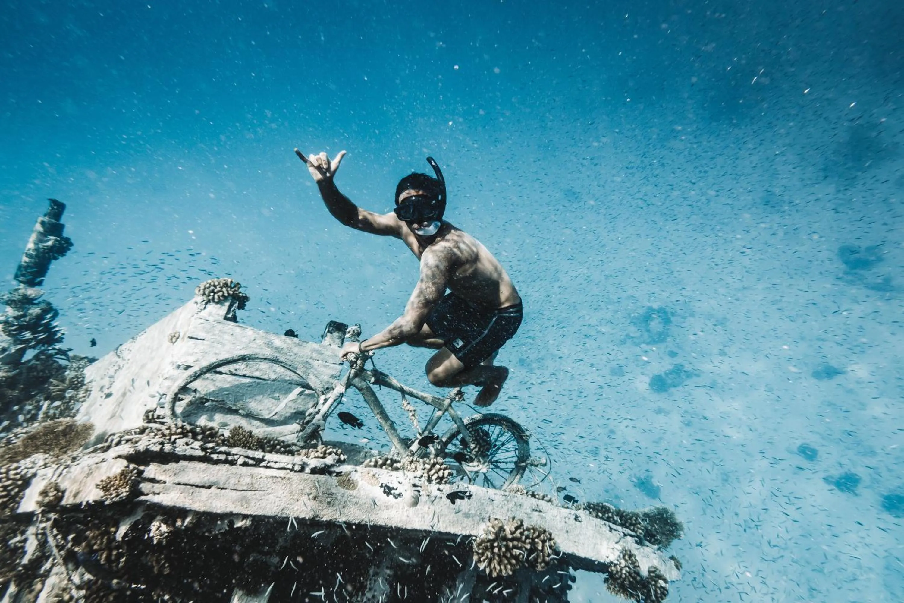 Snorkeling in The Zen Den