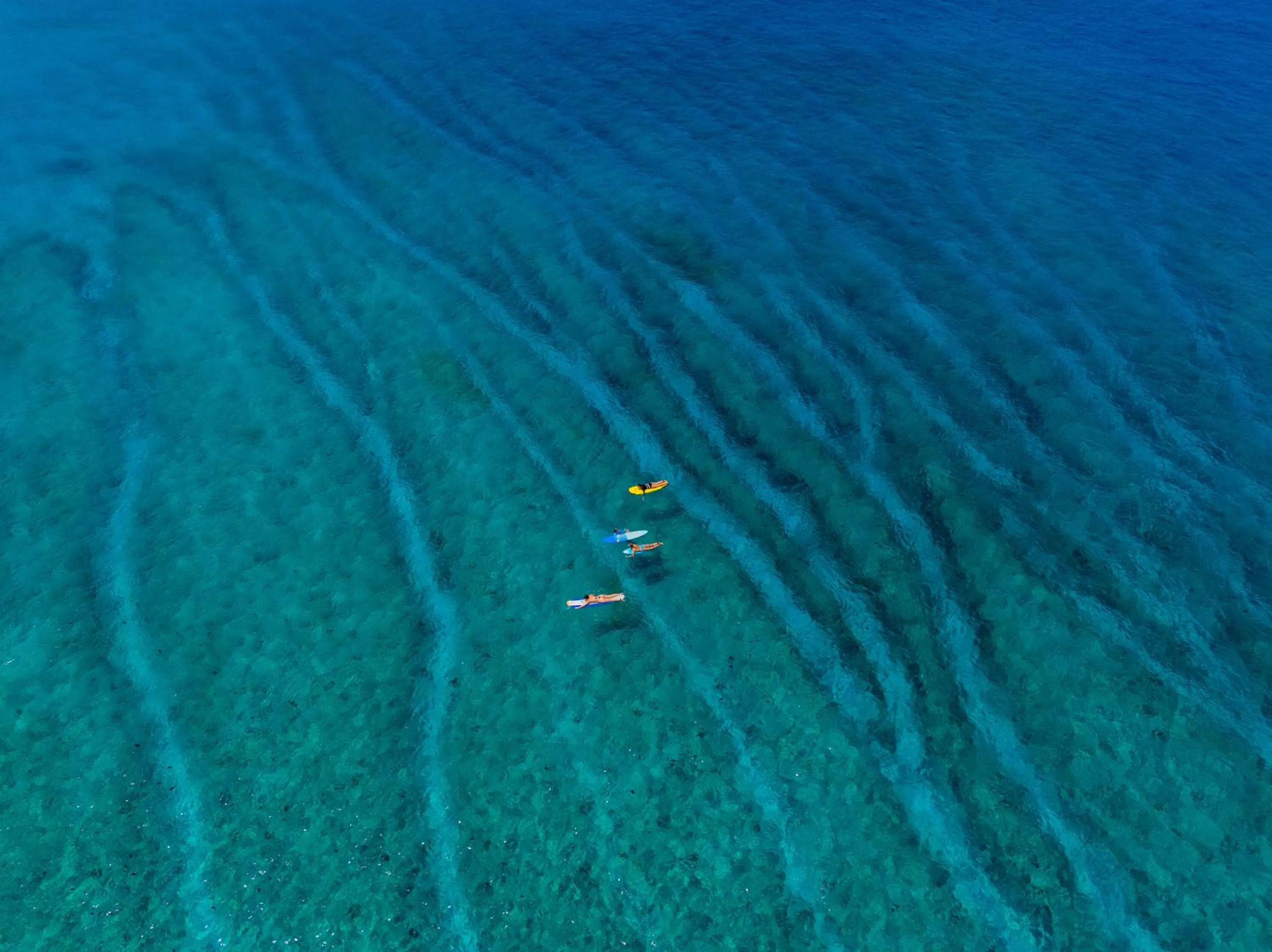 Natural landscape in The Zen Den