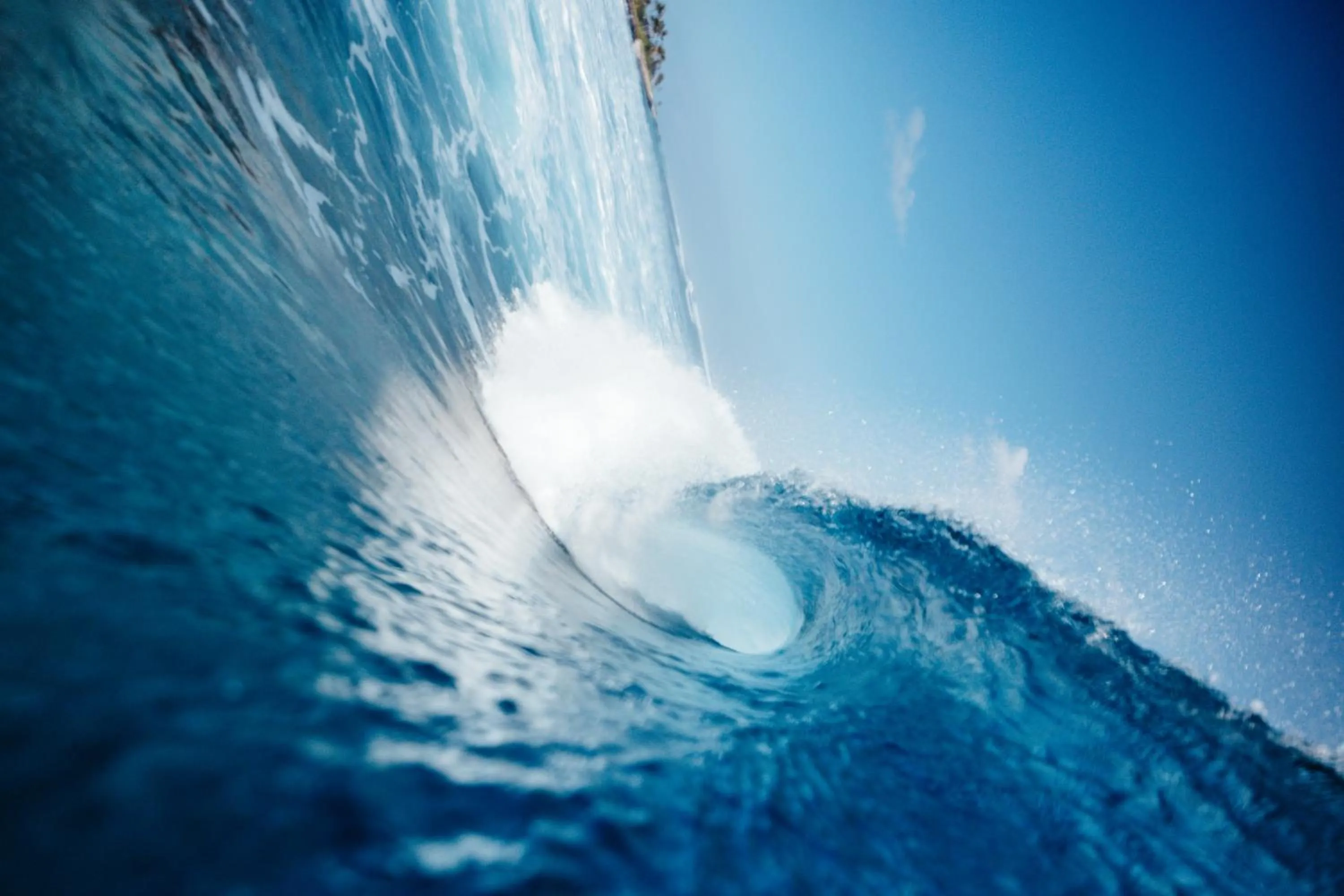 Natural landscape in The Zen Den