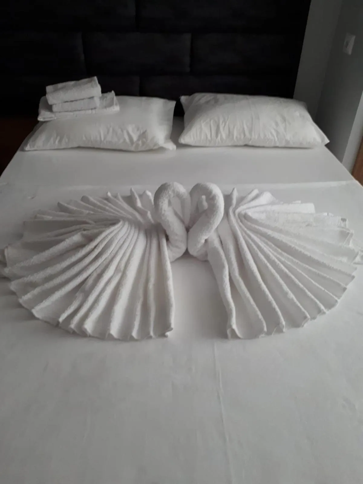 towels in esas pansiyon