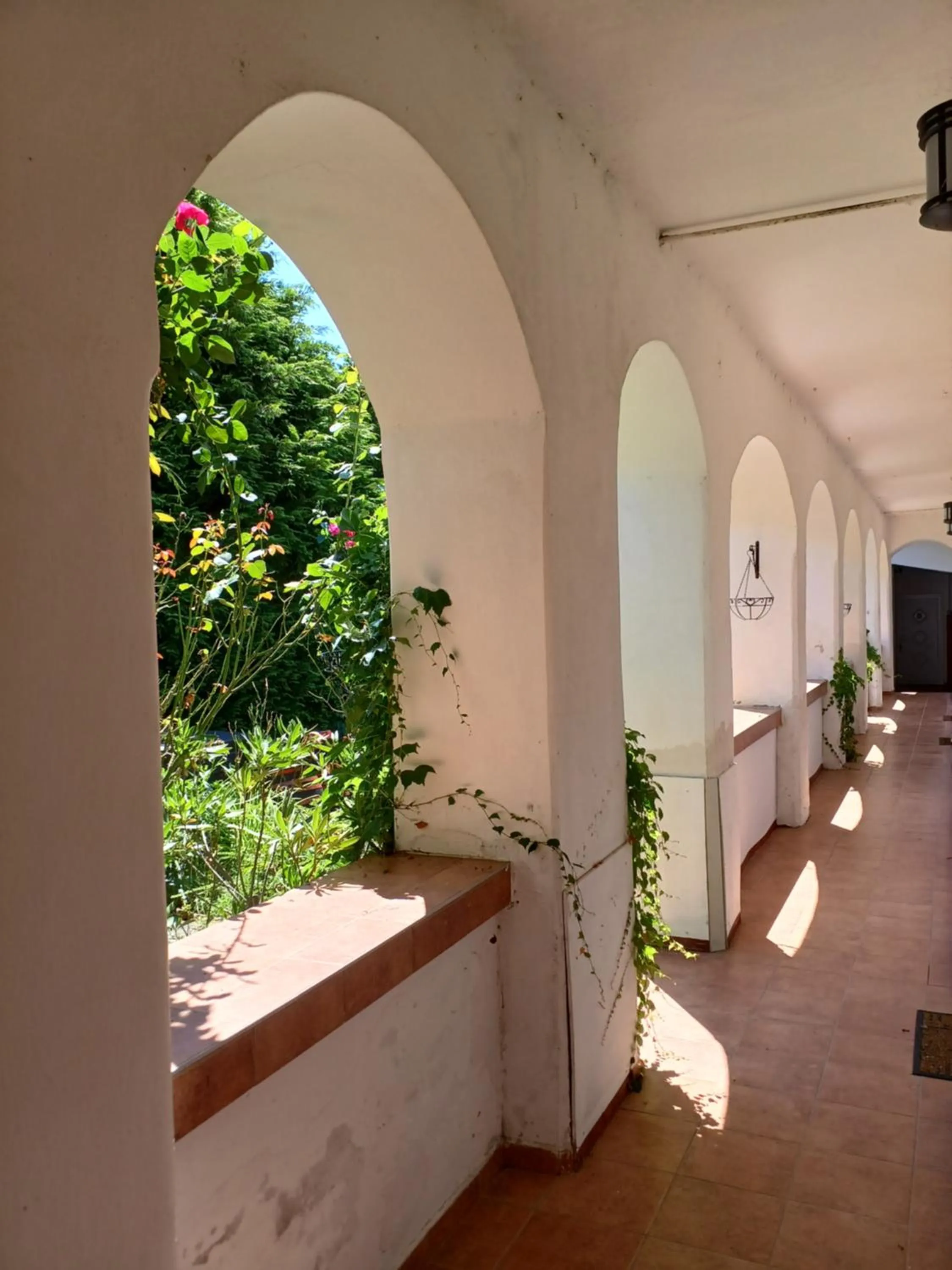 Inner courtyard view in Blues Ryokan
