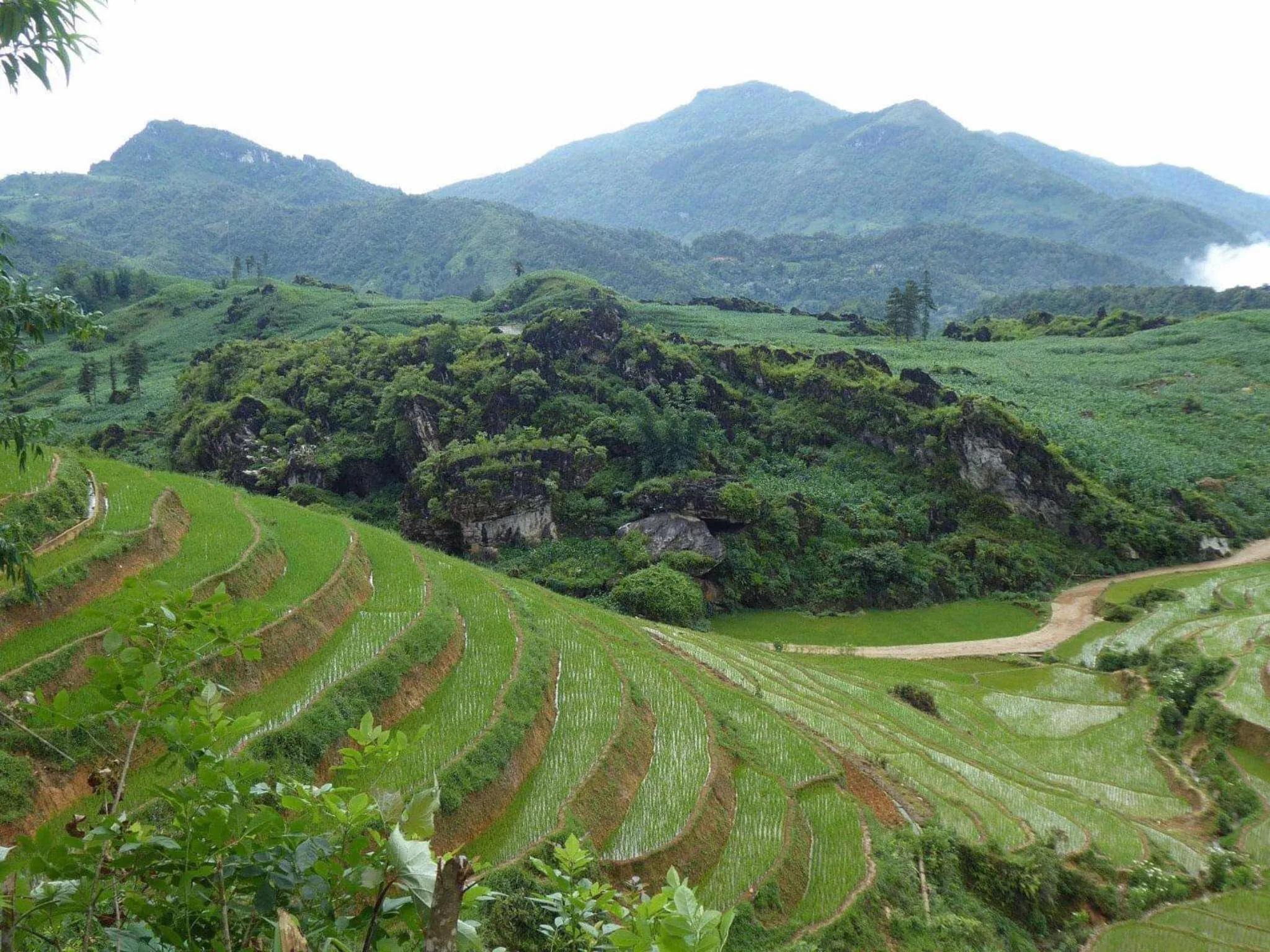 View (from property/room) in Ta Phin Cottage