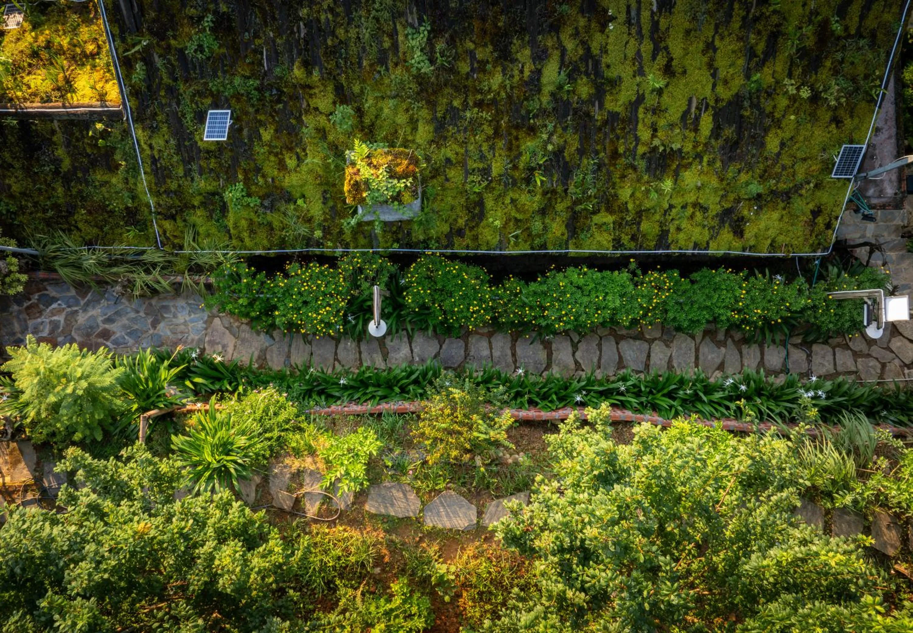 Garden in Ta Phin Cottage