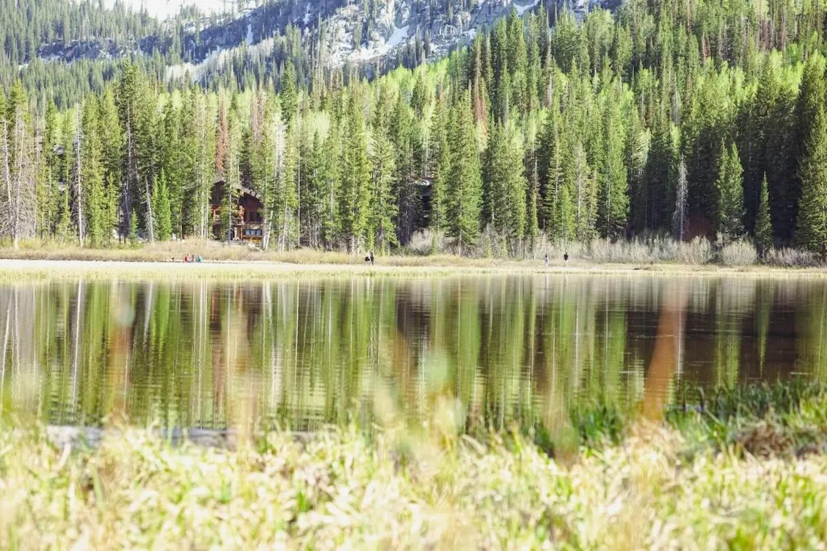 Brighton Ski Resort Hidden Falls 1 Bedroom Chalet Utah