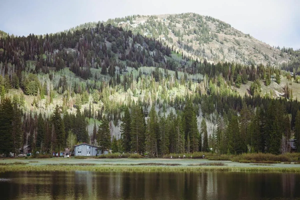 Brighton Ski Resort Hidden Falls 1 Bedroom Chalet Utah