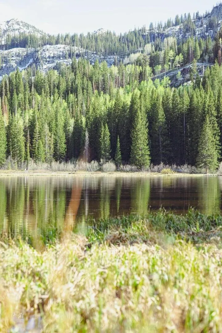 Brighton Ski Resort Hidden Falls 1 Bedroom Chalet Utah