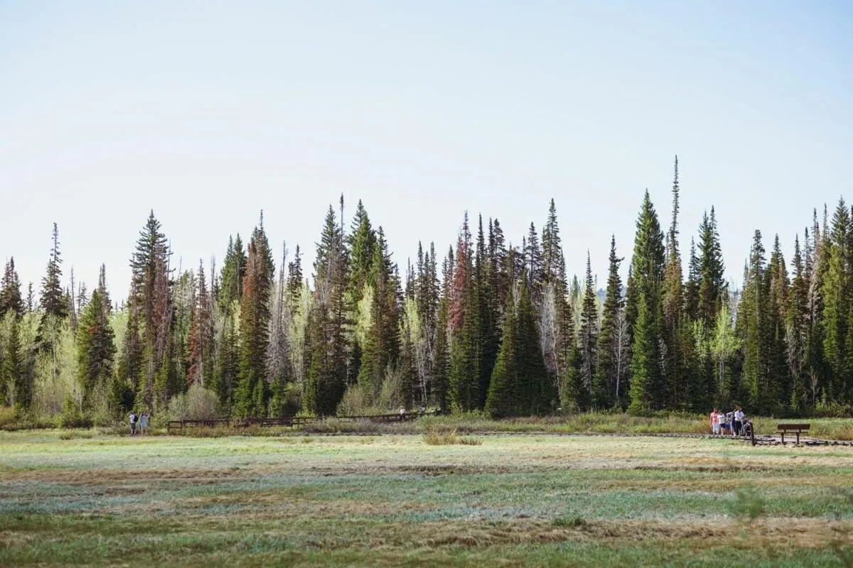 Brighton Ski Resort Hidden Falls 1 Bedroom Chalet Utah