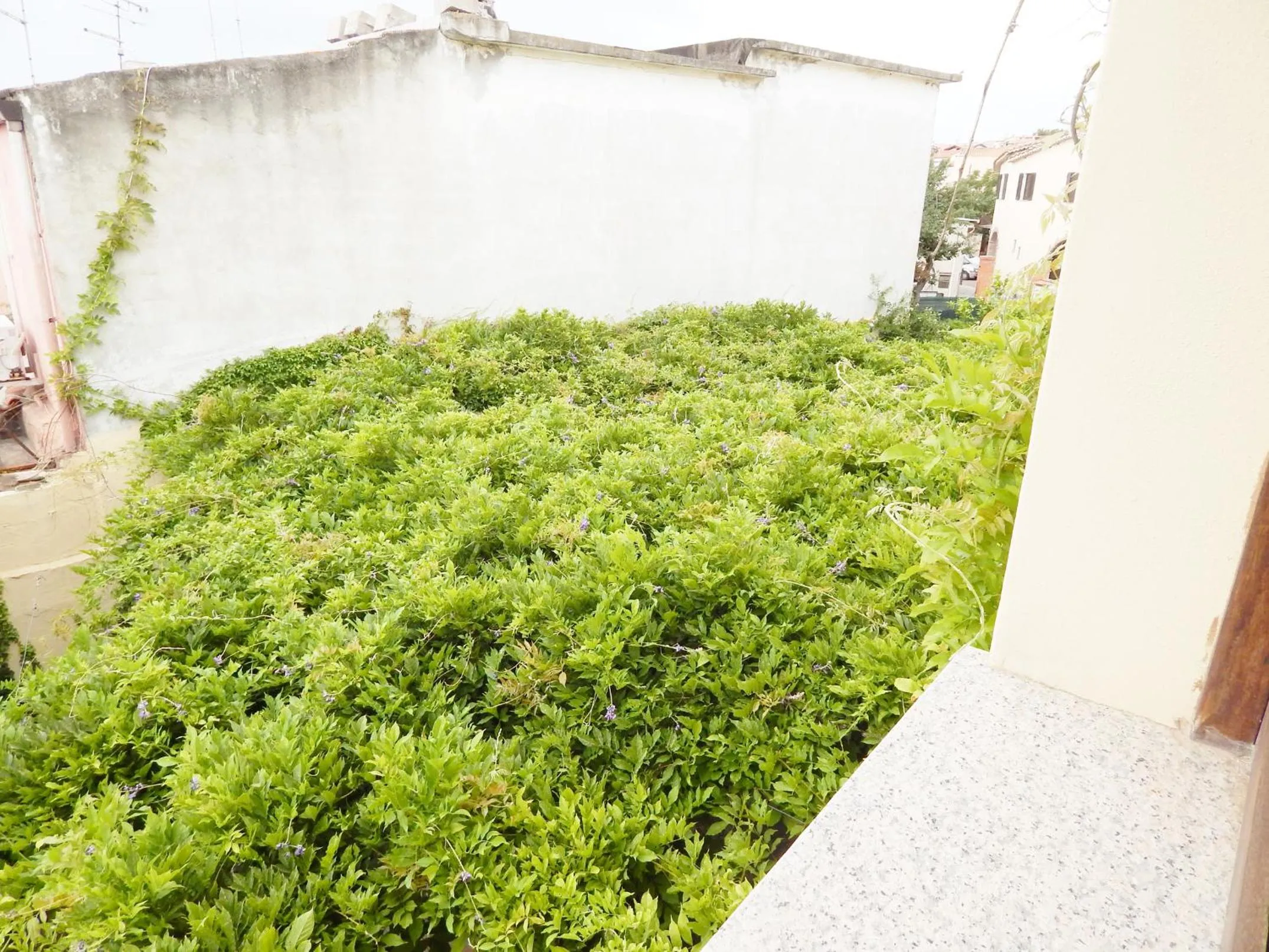 View (from property/room) in Lovely Studio in Pula