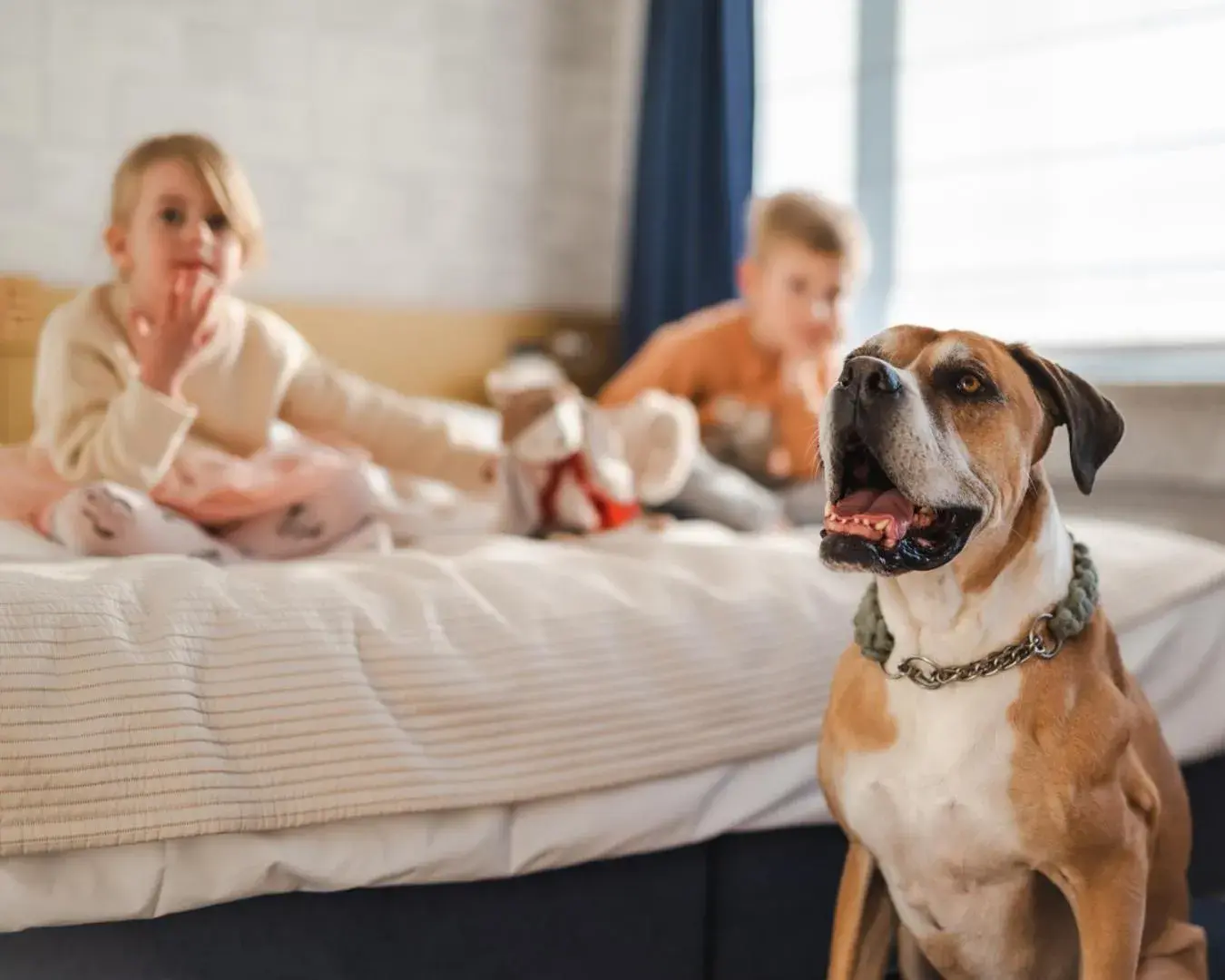 Bed in Hotel Marina Club Old Town View Bed in Hotel Marina Club Old Town View