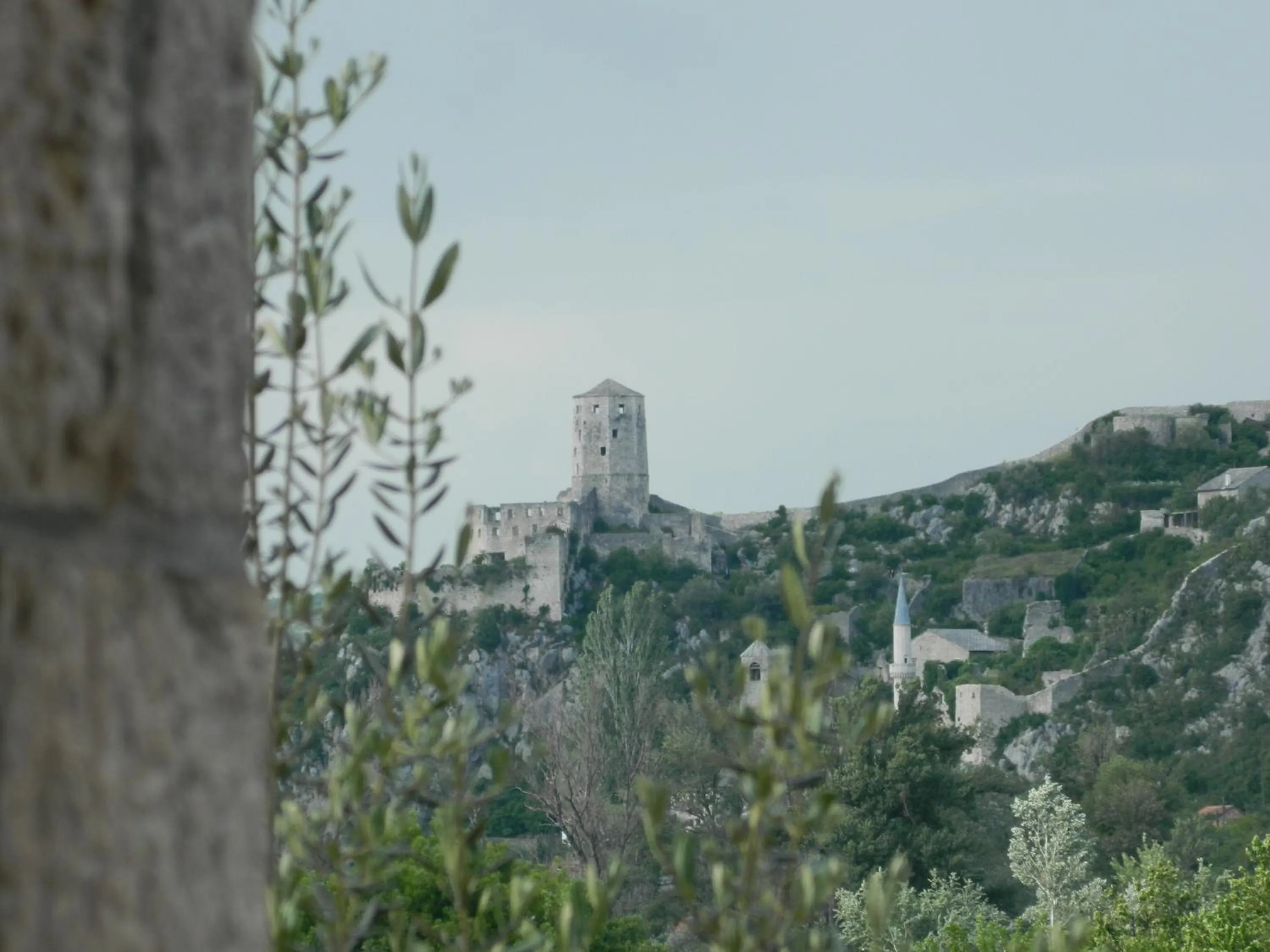 Area and facilities in Motel Jelčić