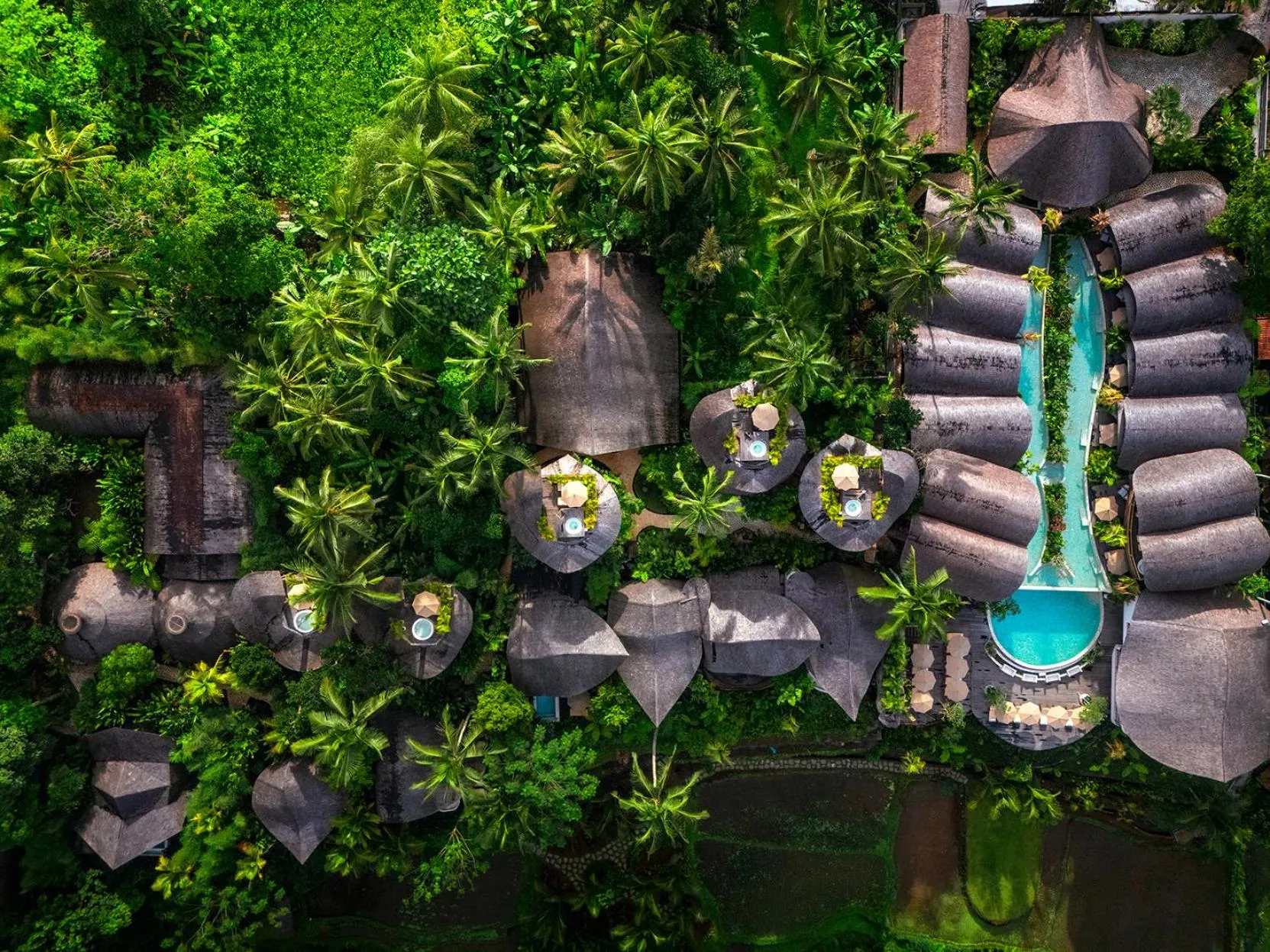 Property building in Bambootel Sawah View