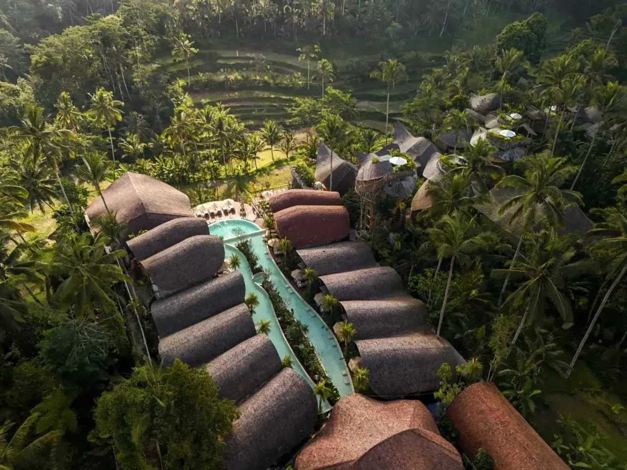 Suite with Pool Access in Bambootel Sawah View Suite with Pool Access in Bambootel Sawah View