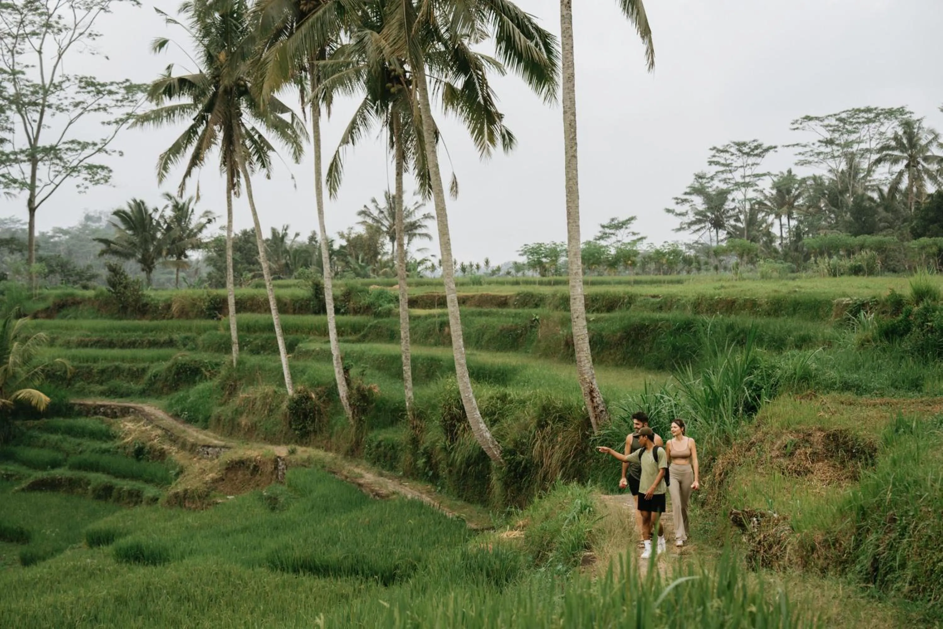 Natural landscape in Bambootel Sawah View