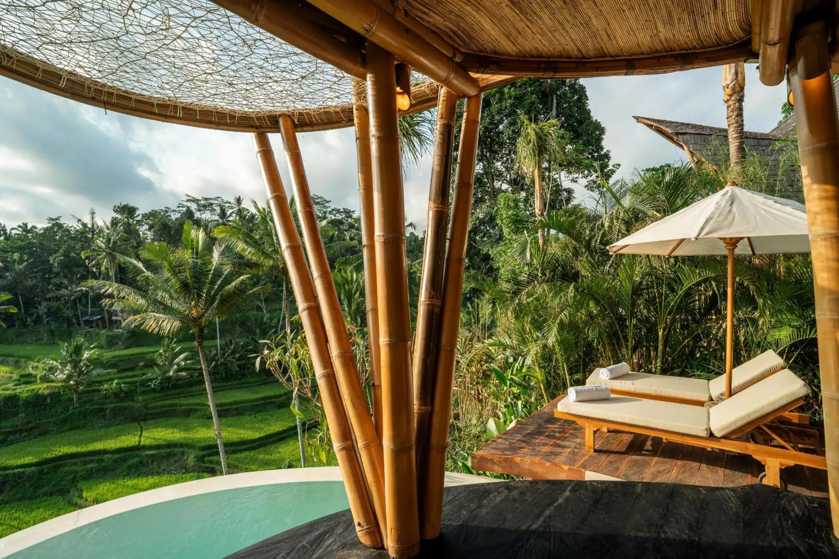 View (from property/room) in Bambootel Sawah View View (from property/room) in Bambootel Sawah View