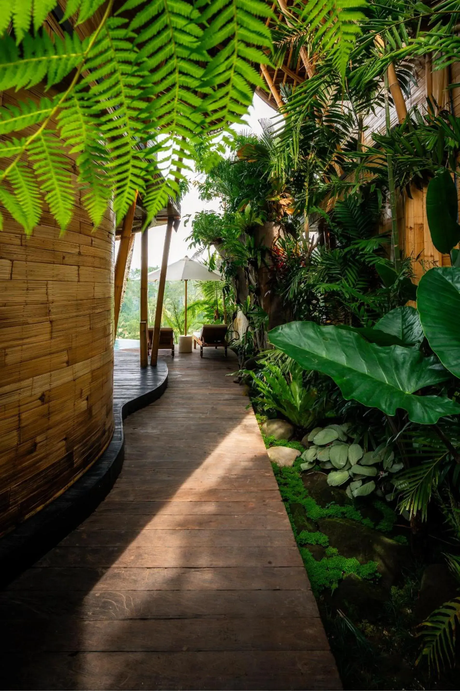 Natural landscape in Bambootel Sawah View Natural landscape in Bambootel Sawah View