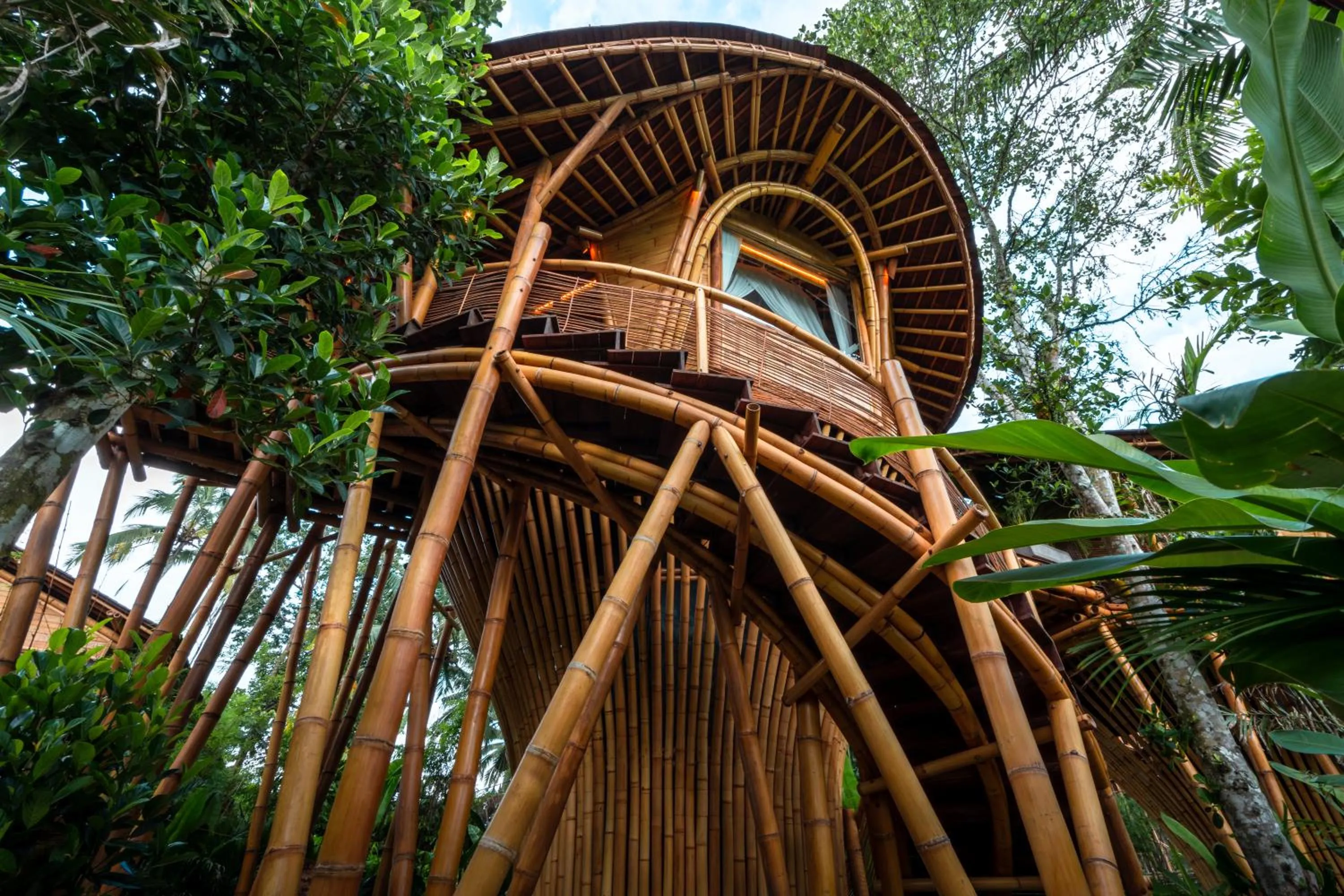 Property building in Bambootel Sawah View