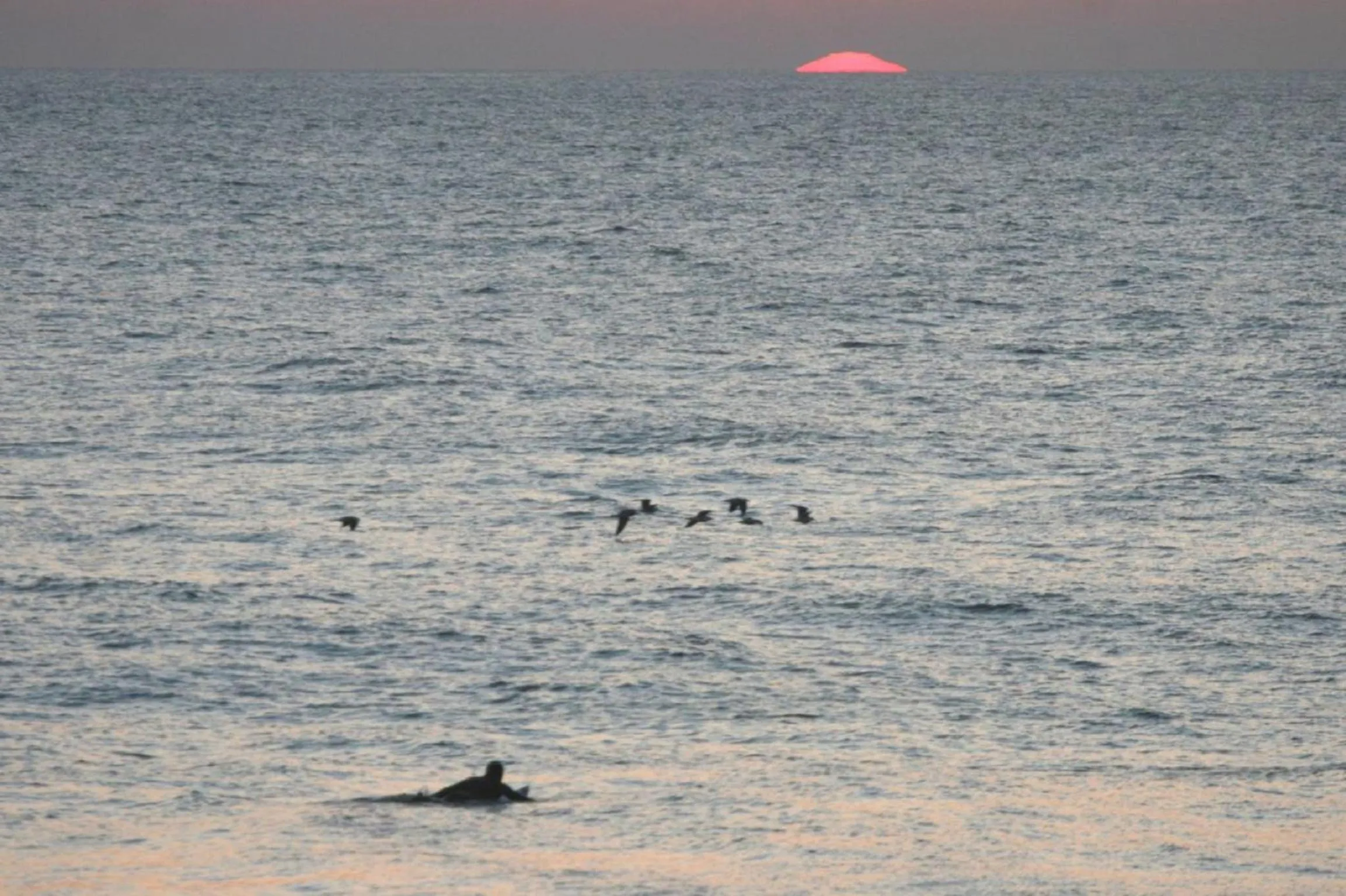 Sports in Pure Flor de Esteva