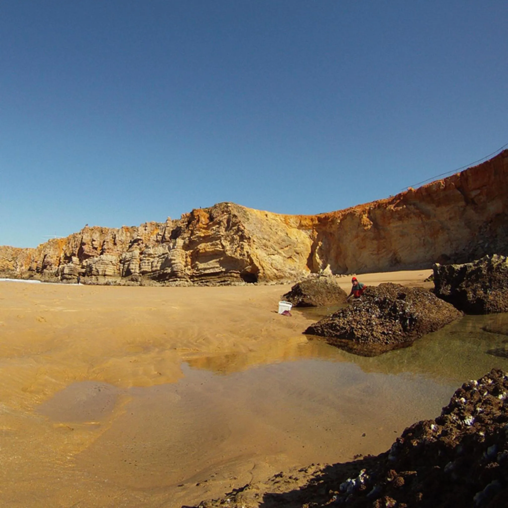 Activities in Pure Flor de Esteva